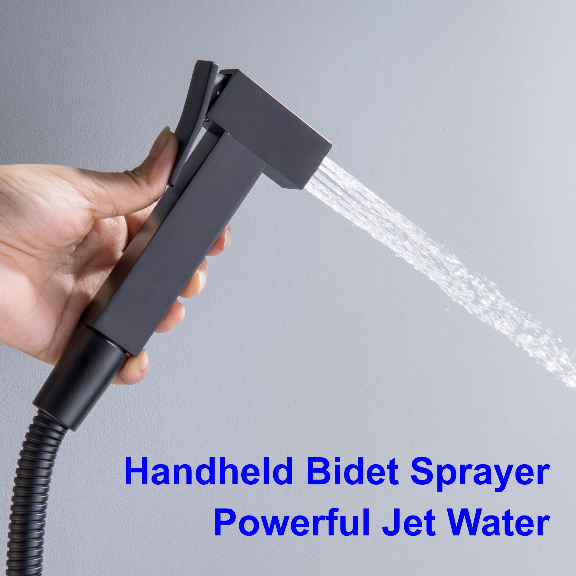 Boyel Living Wall Mount Single-Handle Bidet Faucet with Handle and Mixer Body-Boyel Living