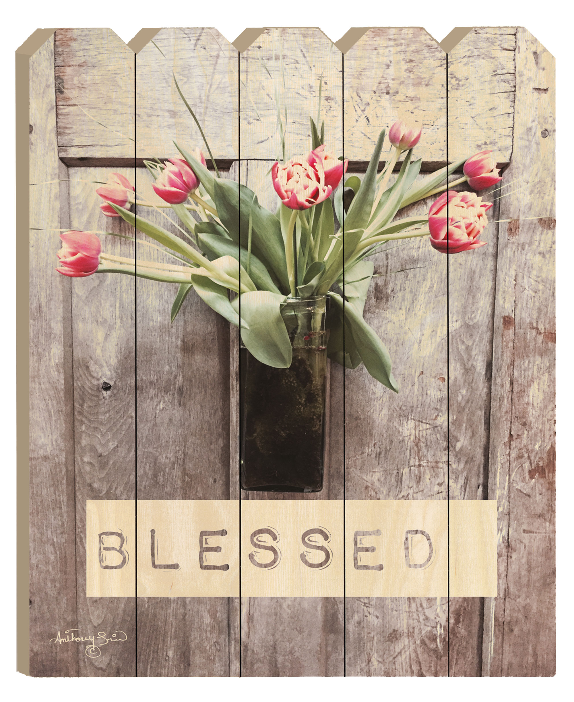 "Blessed Tulips" By Artisan Anthony Smith, Printed on Wooden Picket Fence Wall Art
