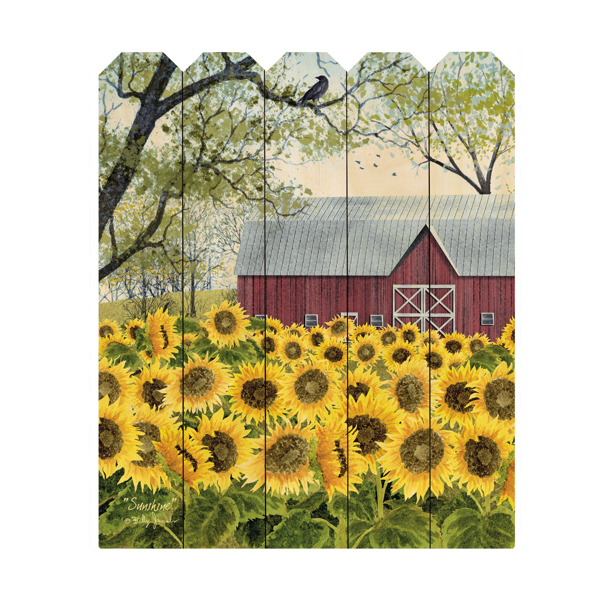 "Sunshine" By Artisan Billy Jacobs, Printed on Wooden Picket Fence Wall Art