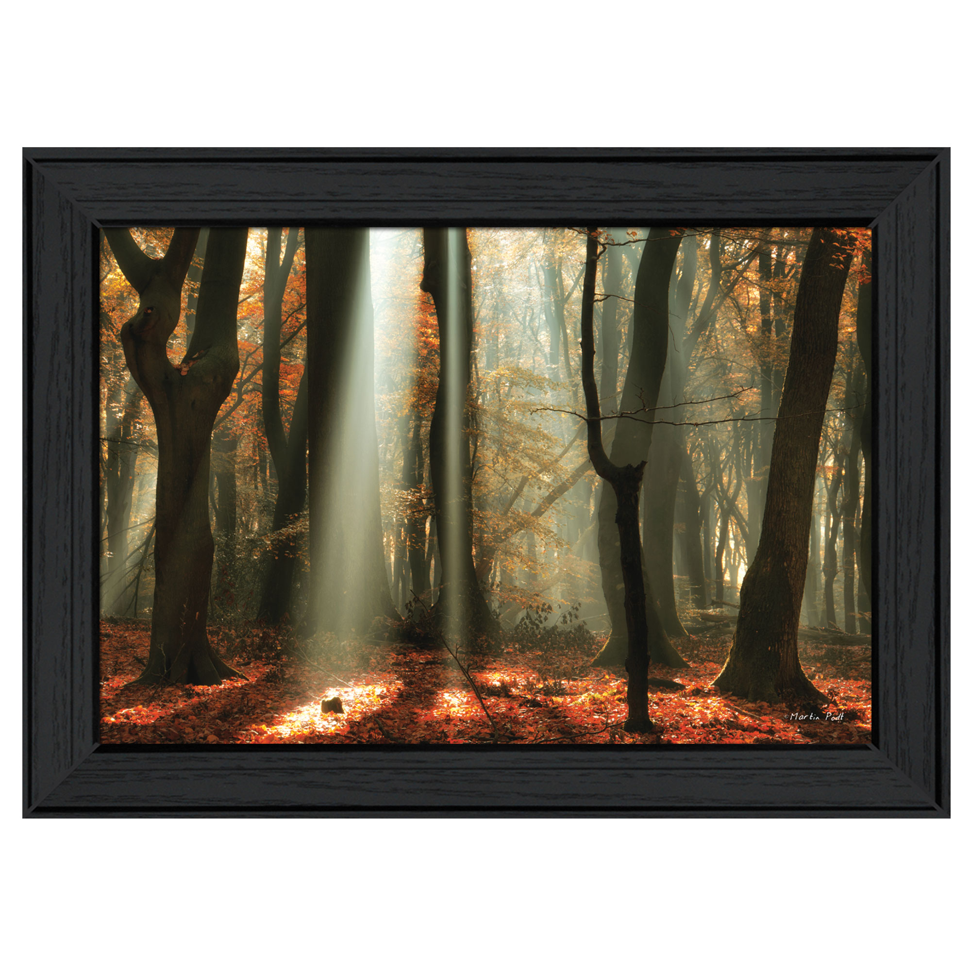 "Beam Me Up" By Martin Podt, Printed Wall Art, Ready To Hang Framed Poster, Black Frame