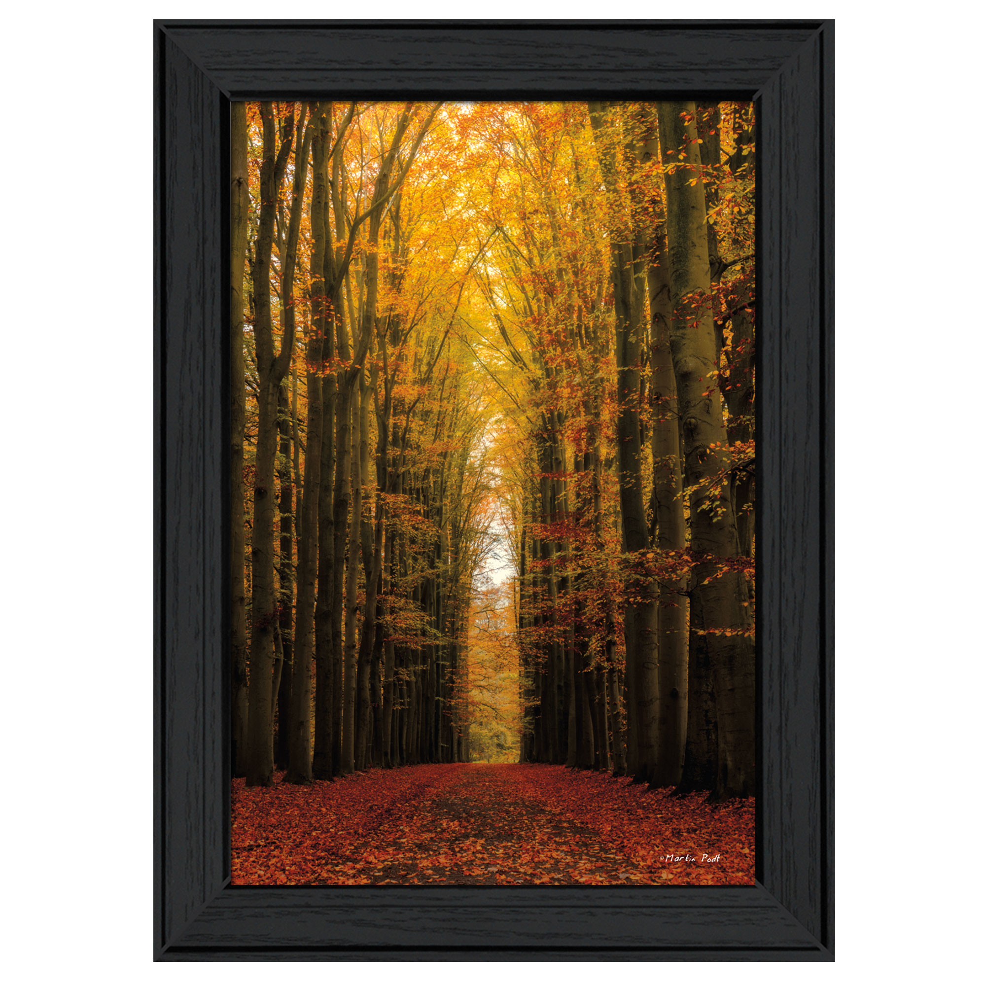 "Highway to Heaven" By Martin Podt, Printed Wall Art, Ready To Hang Framed Poster, Black Frame