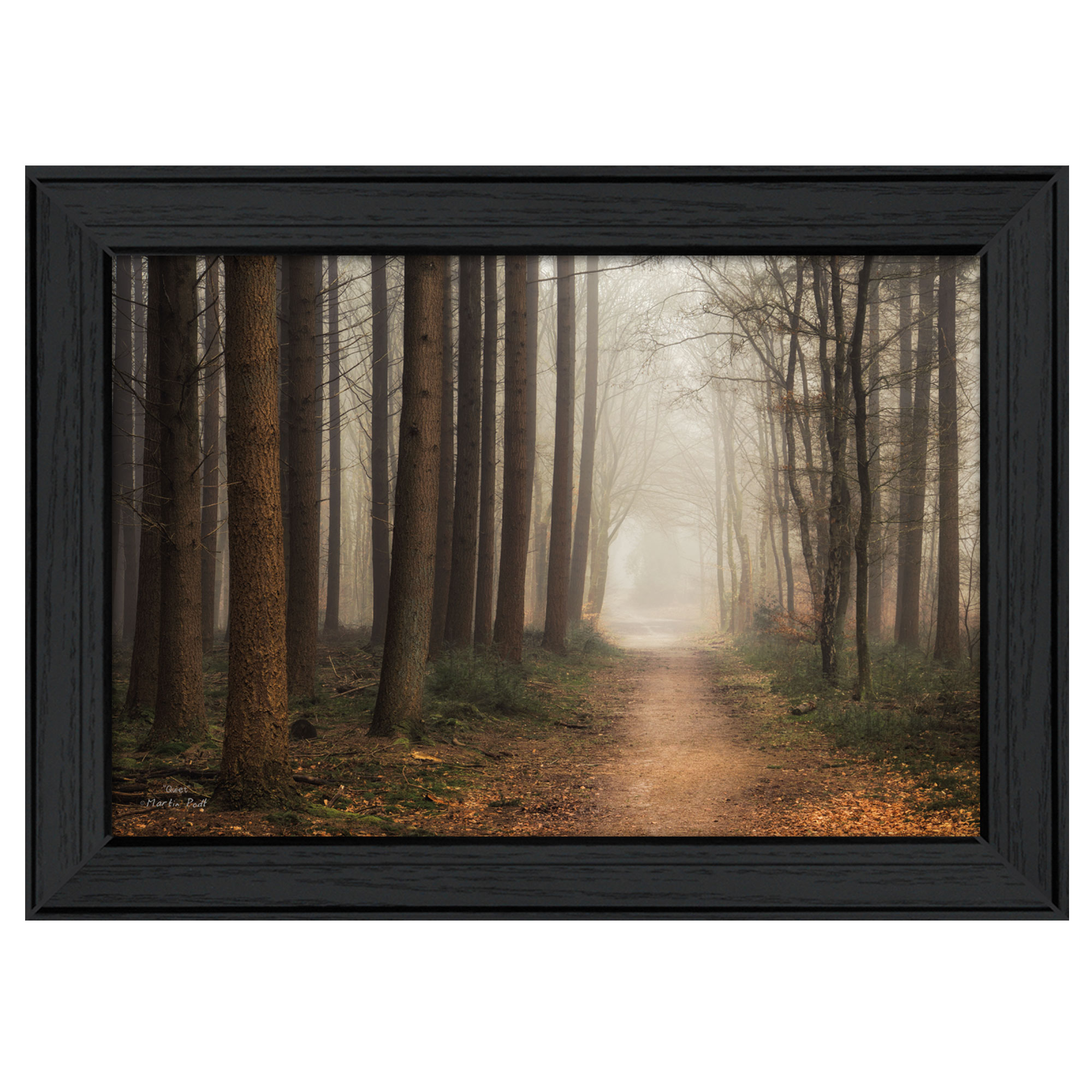 "Quiet" By Martin Podt, Printed Wall Art, Ready To Hang Framed Poster, Black Frame