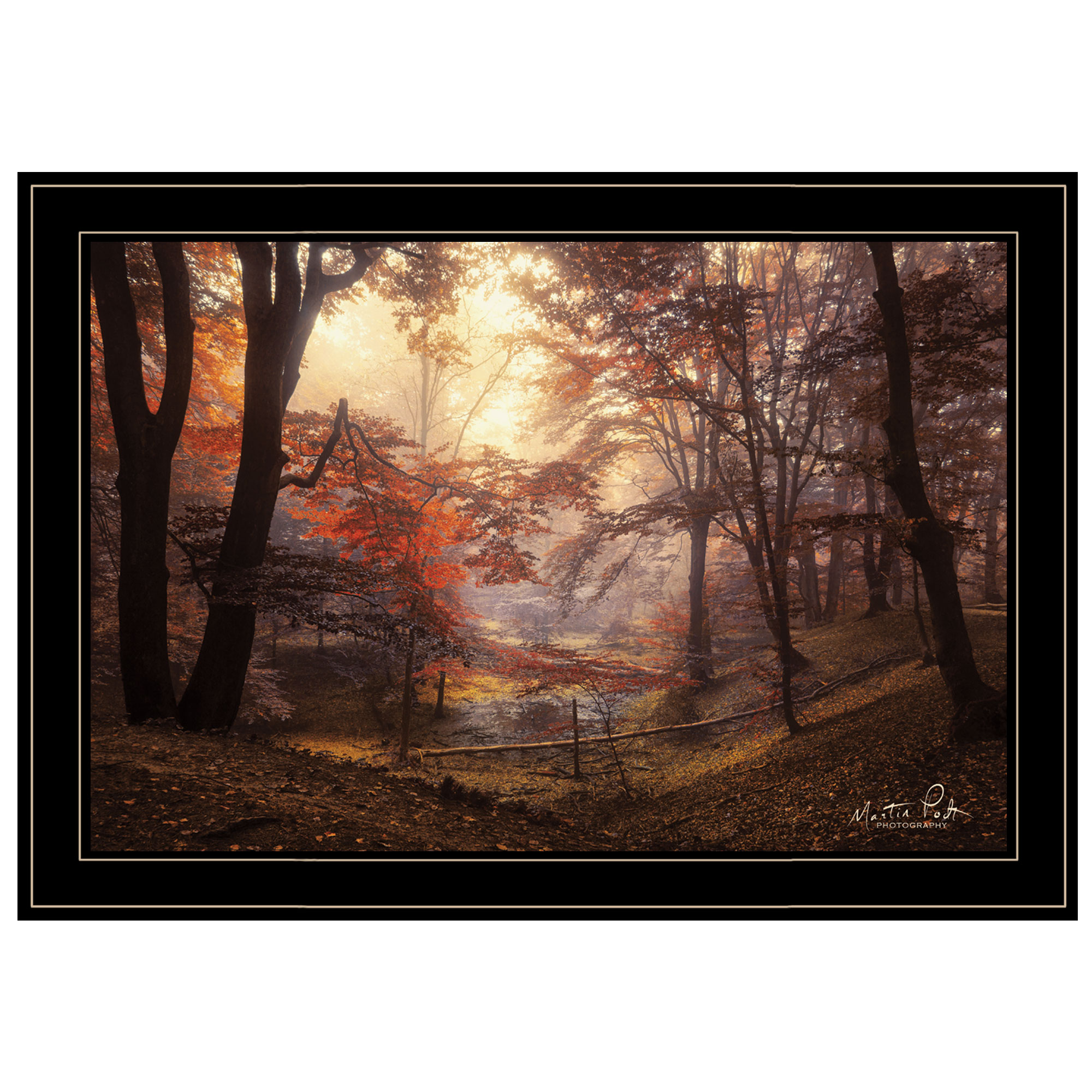"The Pool" by Martin Podt, Ready to Hang Framed Print, Black Frame