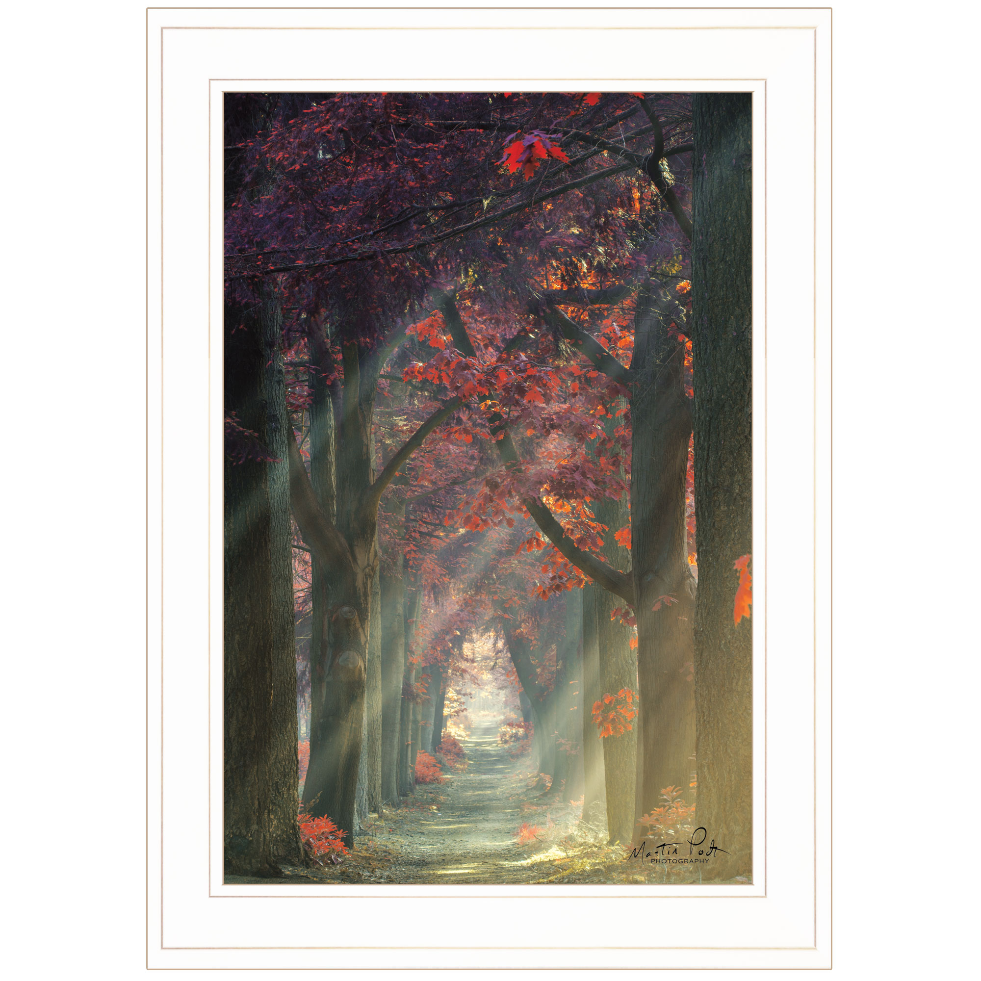 "Path of Happiness" by Martin Podt, Ready to Hang Framed Print, White Frame