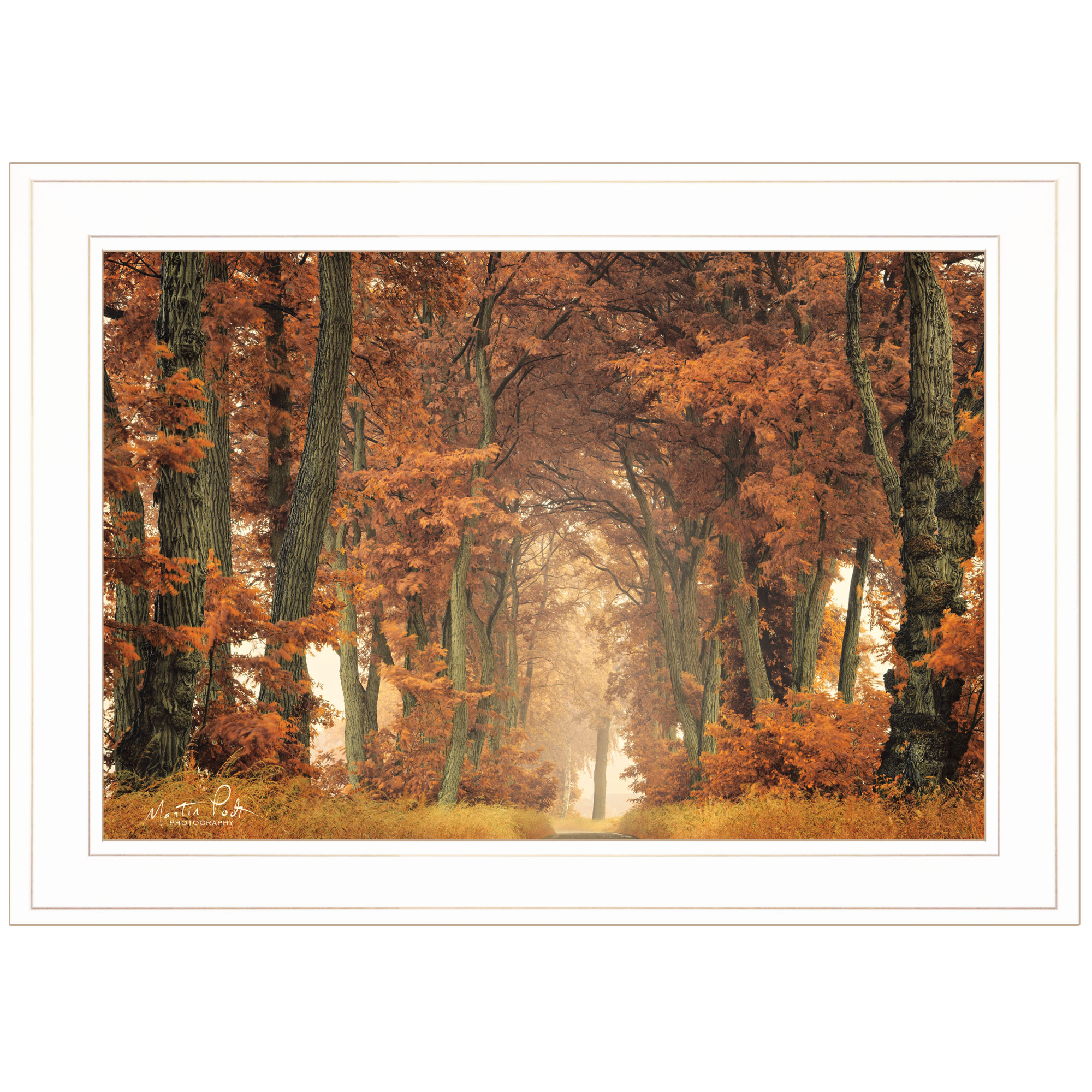 "Follow Your Own Way" by Martin Podt, Ready to Hang Framed Print, White Frame