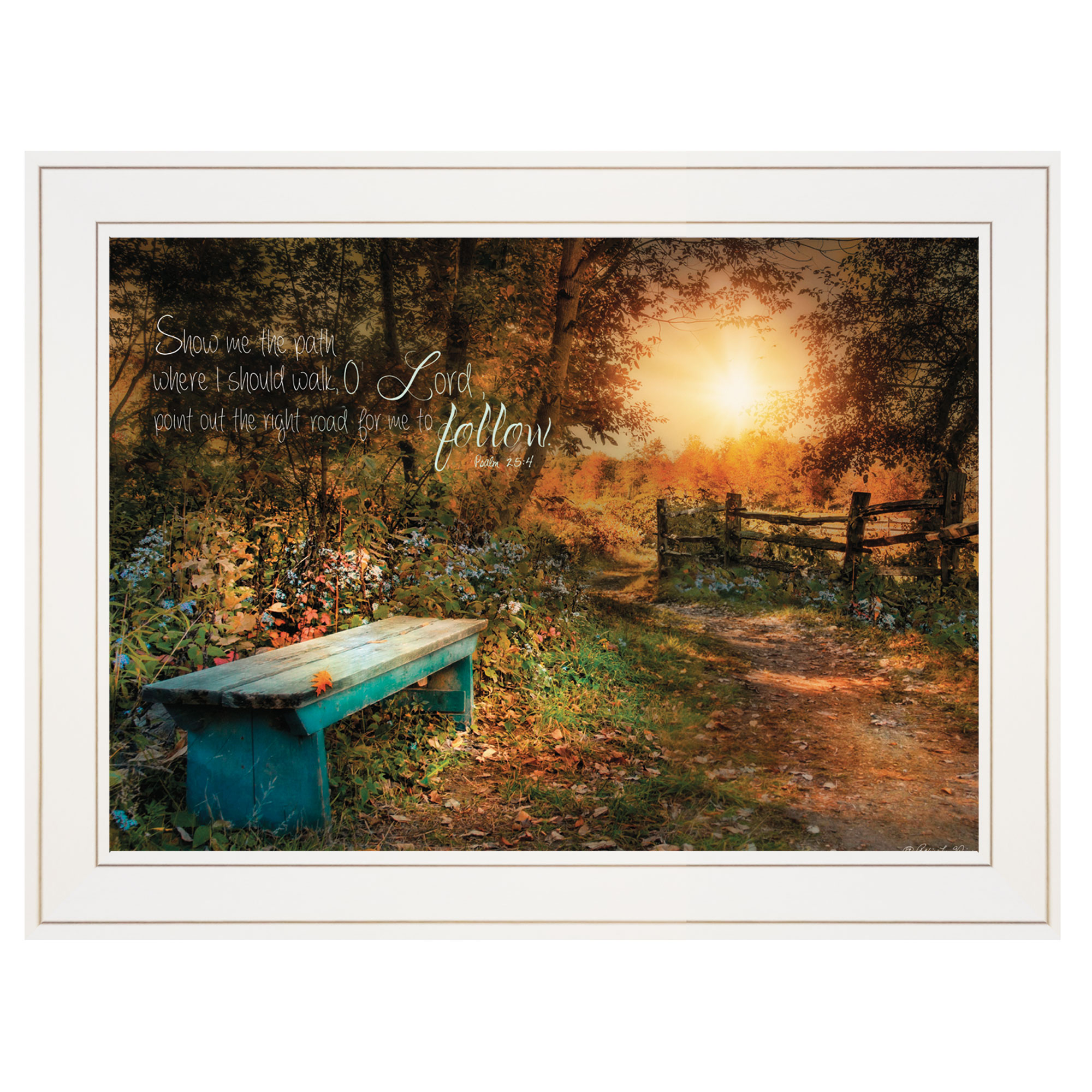 "Show Me the Path" by Robin-Lee Vieira, Ready to Hang Framed print, White Frame