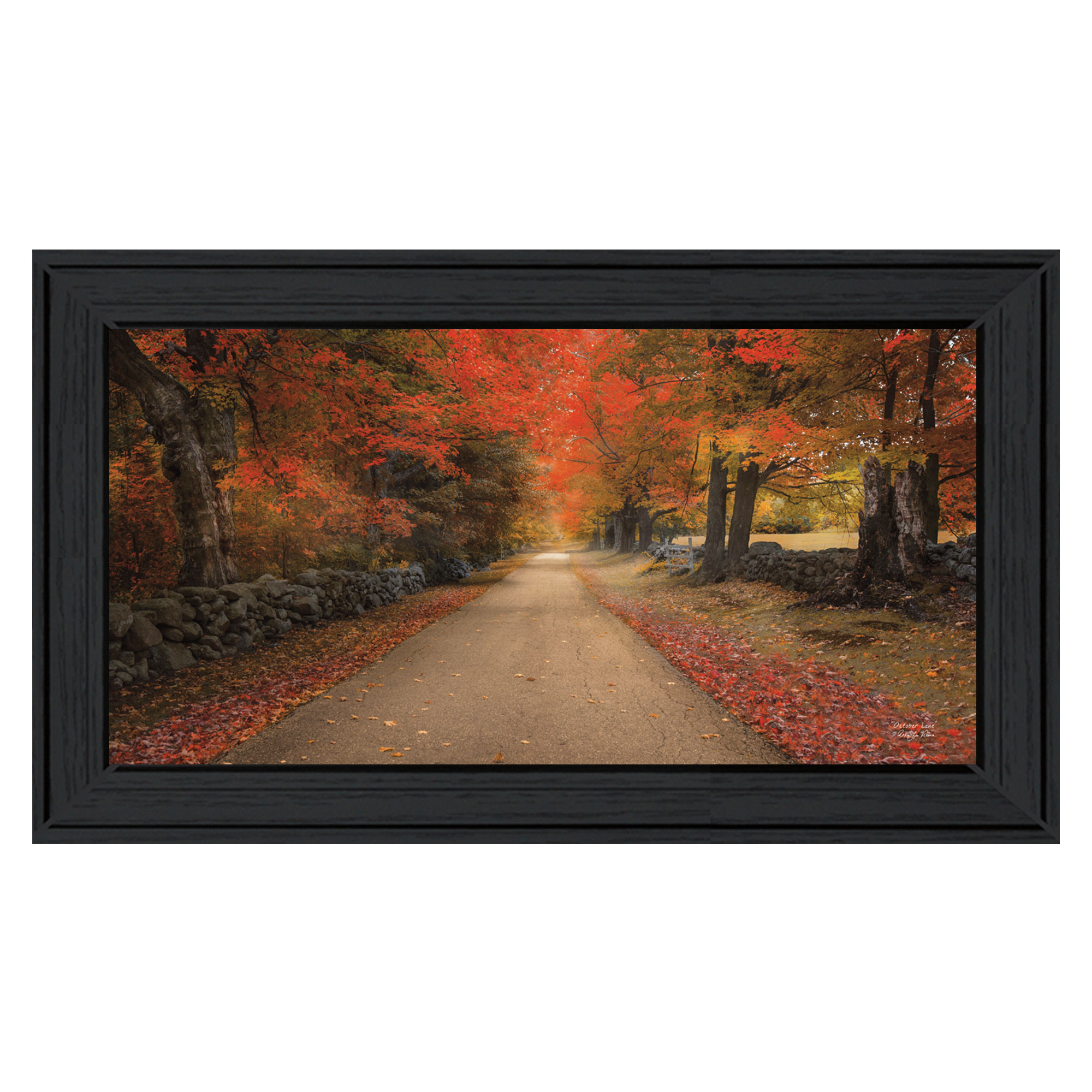 "October Lane" By Robin-Lee Vieira, Printed Wall Art, Ready To Hang Framed Poster, Black Frame