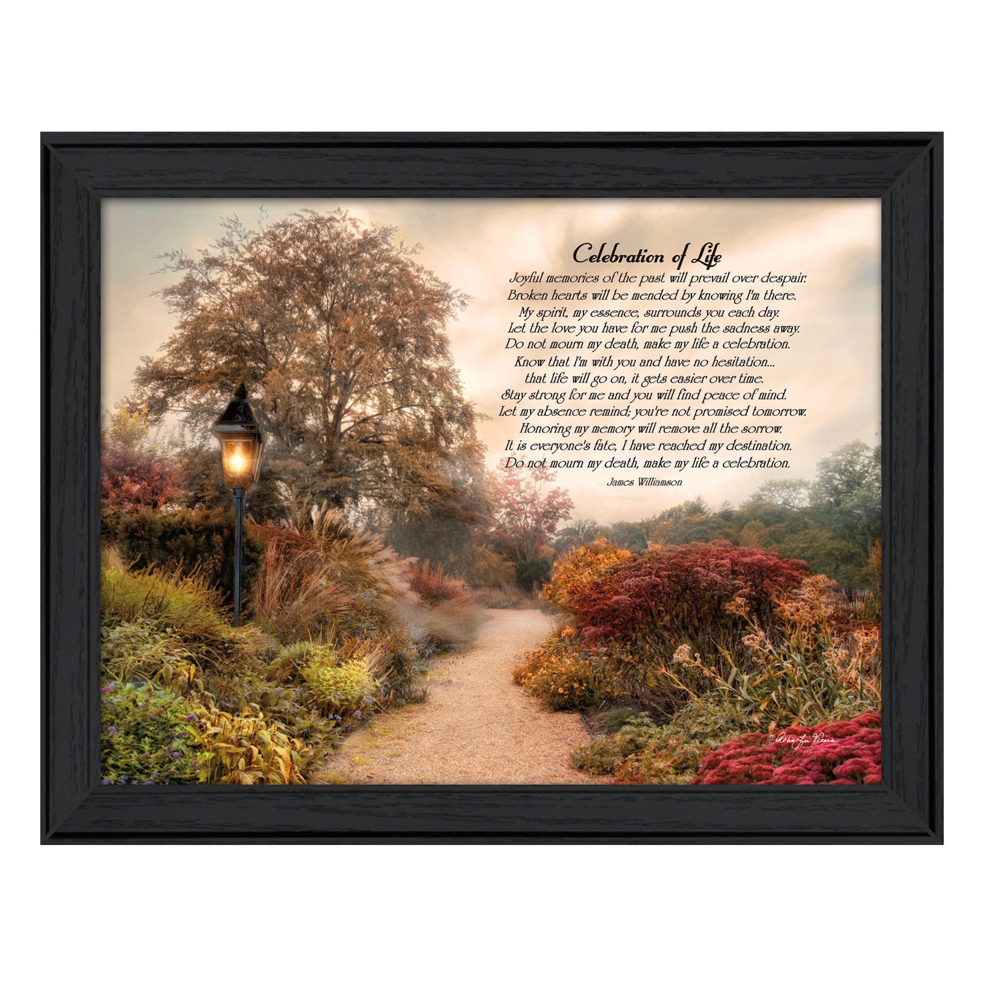 "Celebration of Life" By Robin-Lee Vieira, Printed Wall Art, Ready To Hang Framed Poster, Black Frame