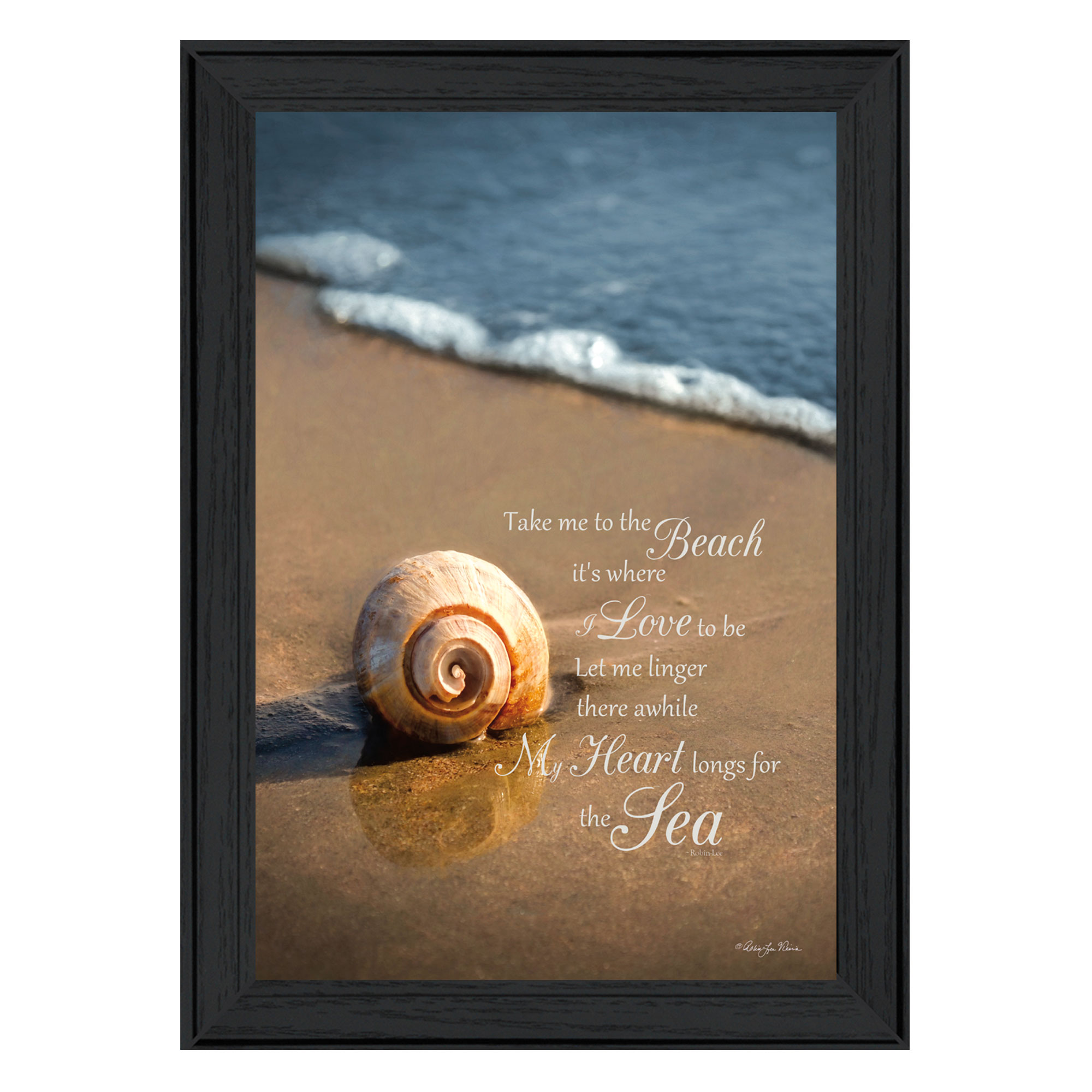 "Take Me to the Beach" By Robin-Lee Vieira, Printed Wall Art, Ready To Hang Framed Poster, Black Frame