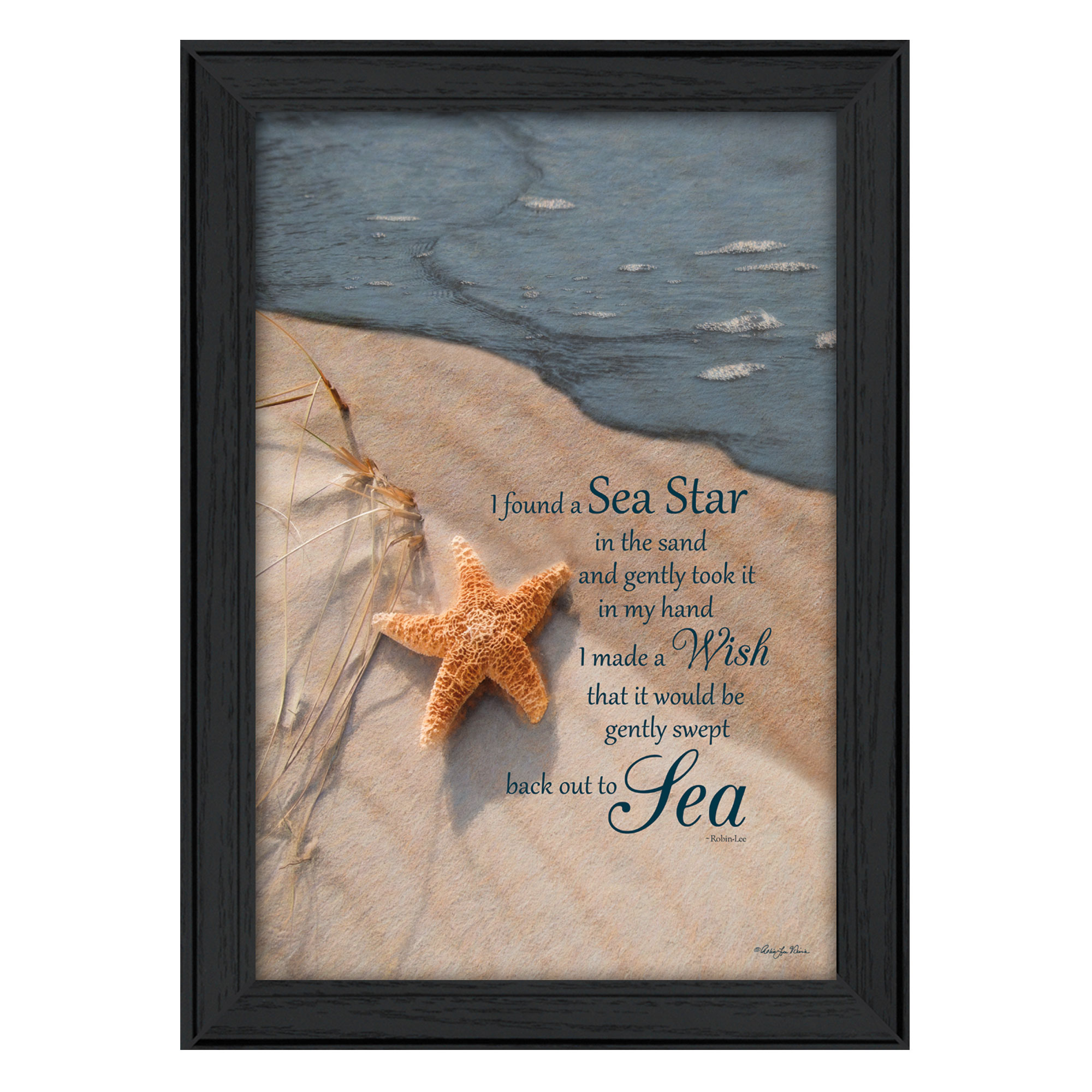 "The Wish" By Robin-Lee Vieira, Printed Wall Art, Ready To Hang Framed Poster, Black Frame