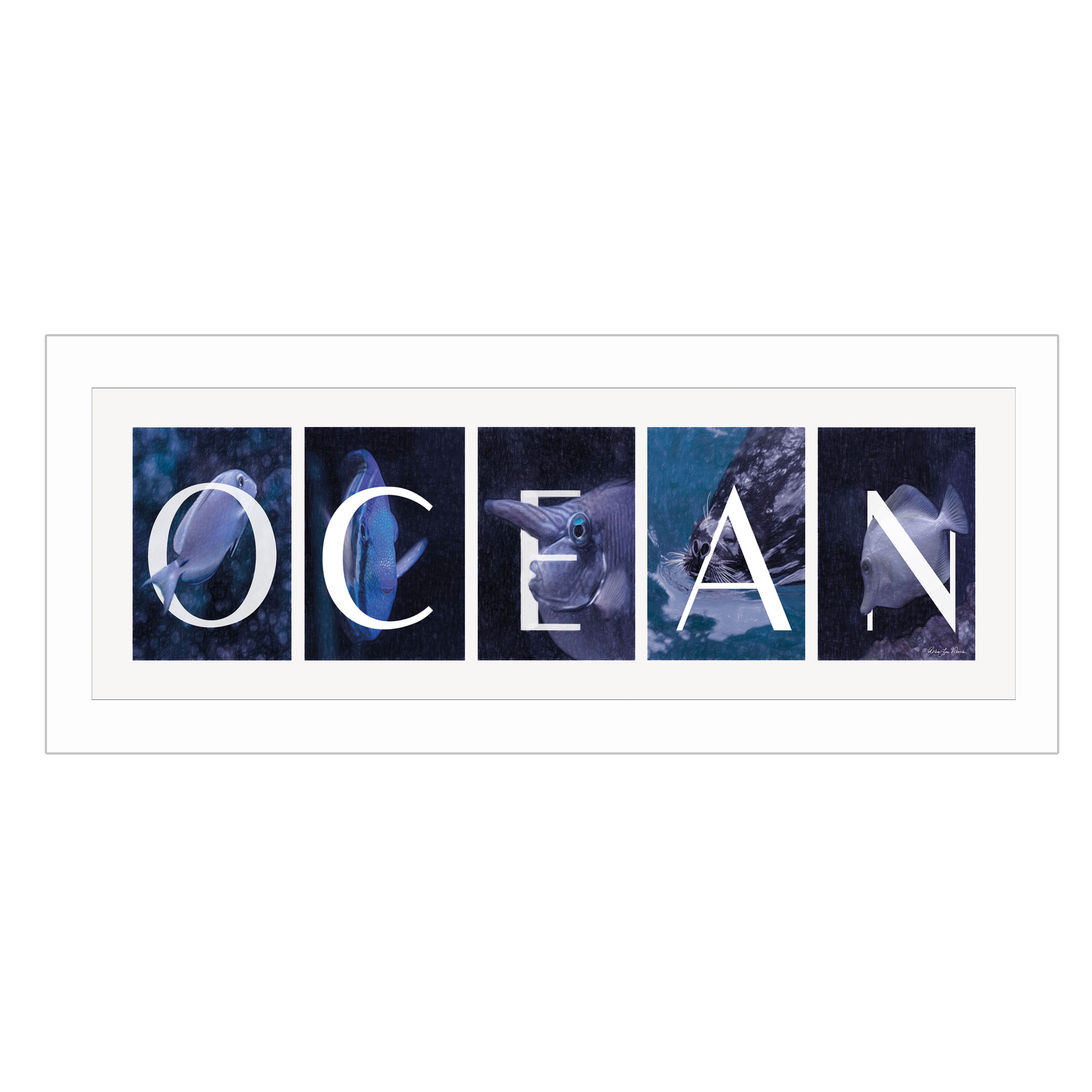 "Ocean" By Robin-Lee Vieira, Printed Wall Art, Ready To Hang Framed Poster, White Frame