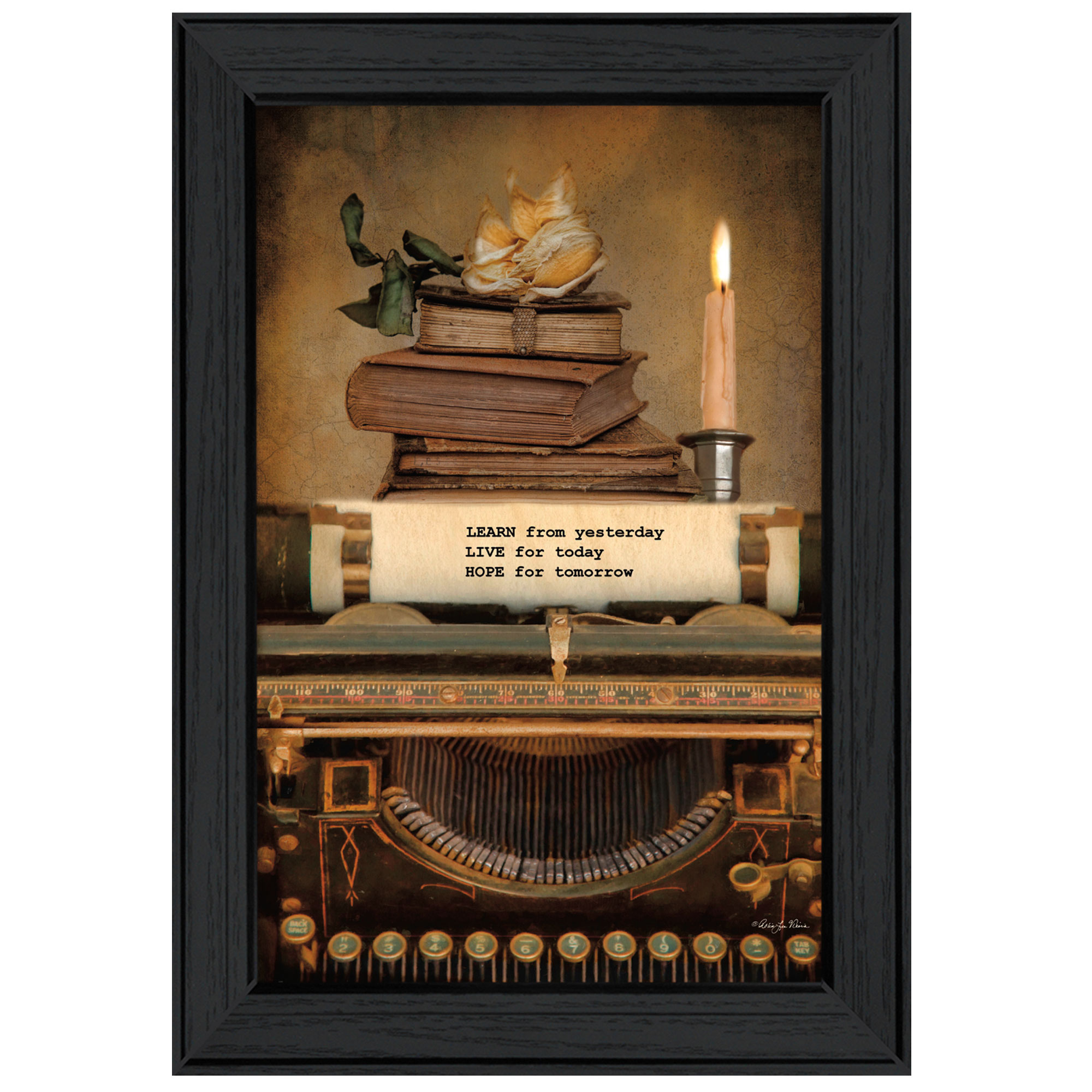 "Learn from Yesterday" By Robin-Lee Vieira, Printed Wall Art, Ready To Hang Framed Poster, Black Frame