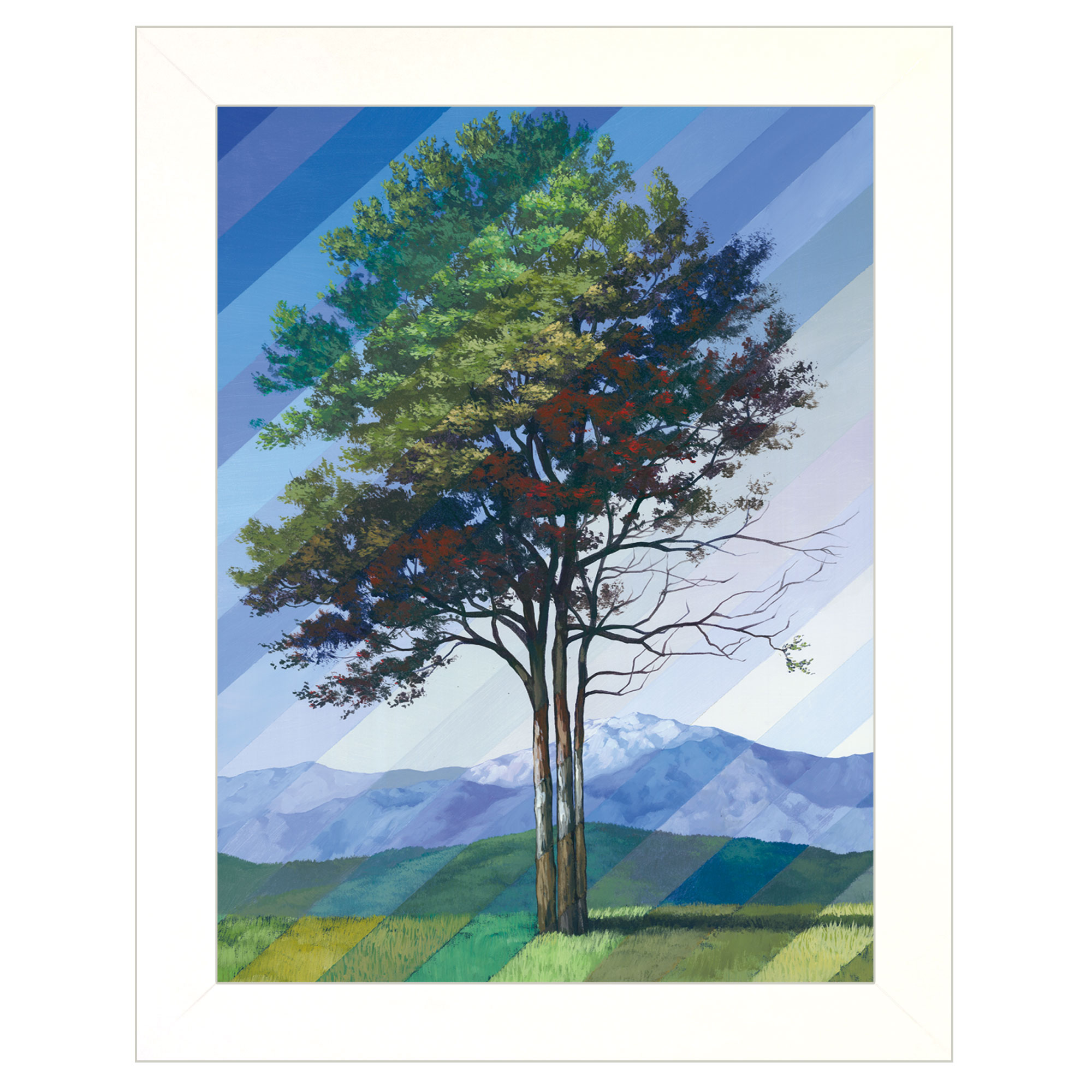 "Catching Light" as Time Passes by Tim Gagnon, Ready to Hang Framed print, White Frame