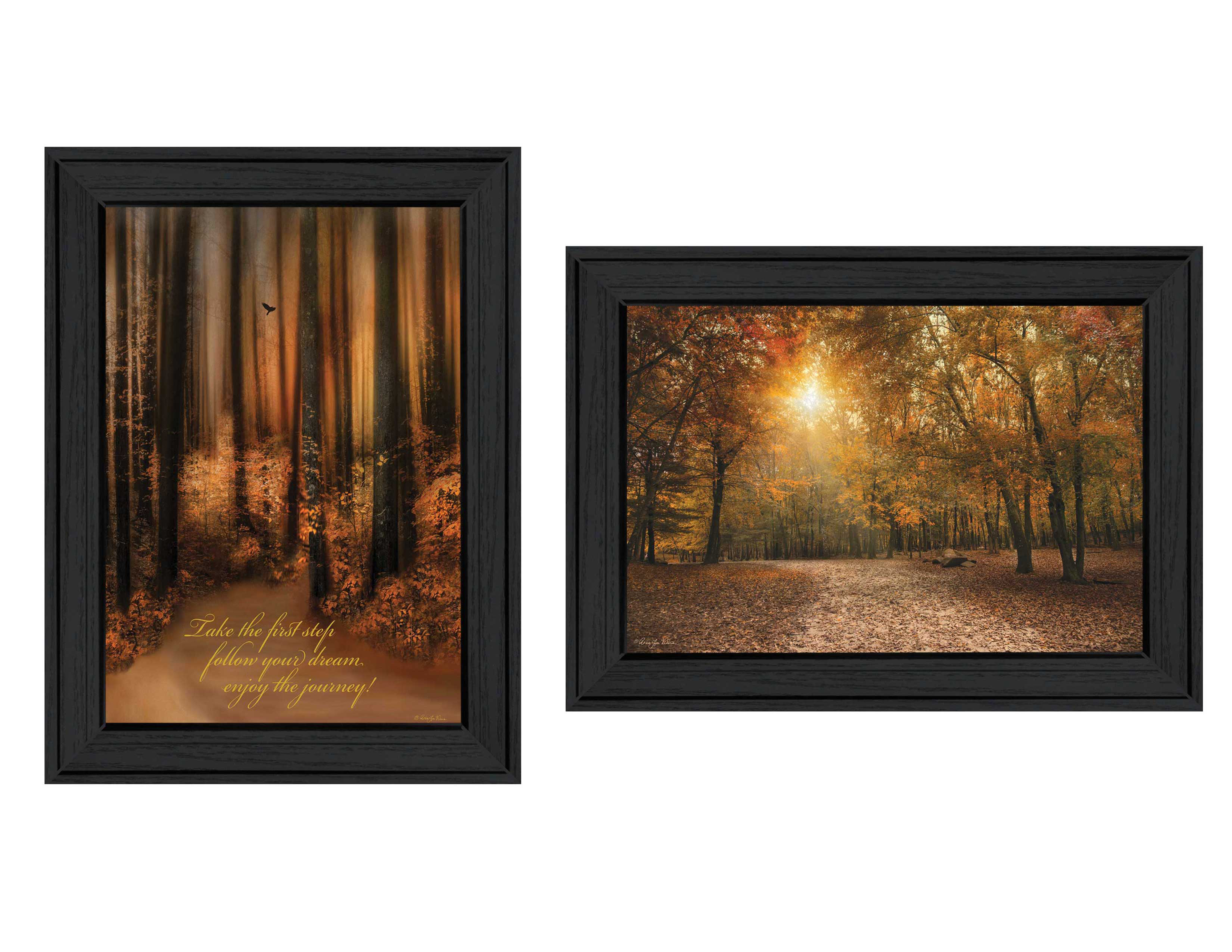 "Autumn Collection" 2-Piece Vignette By Robin-Lee Vieira, Printed Wall Art, Ready To Hang Framed Poster, Black Frame