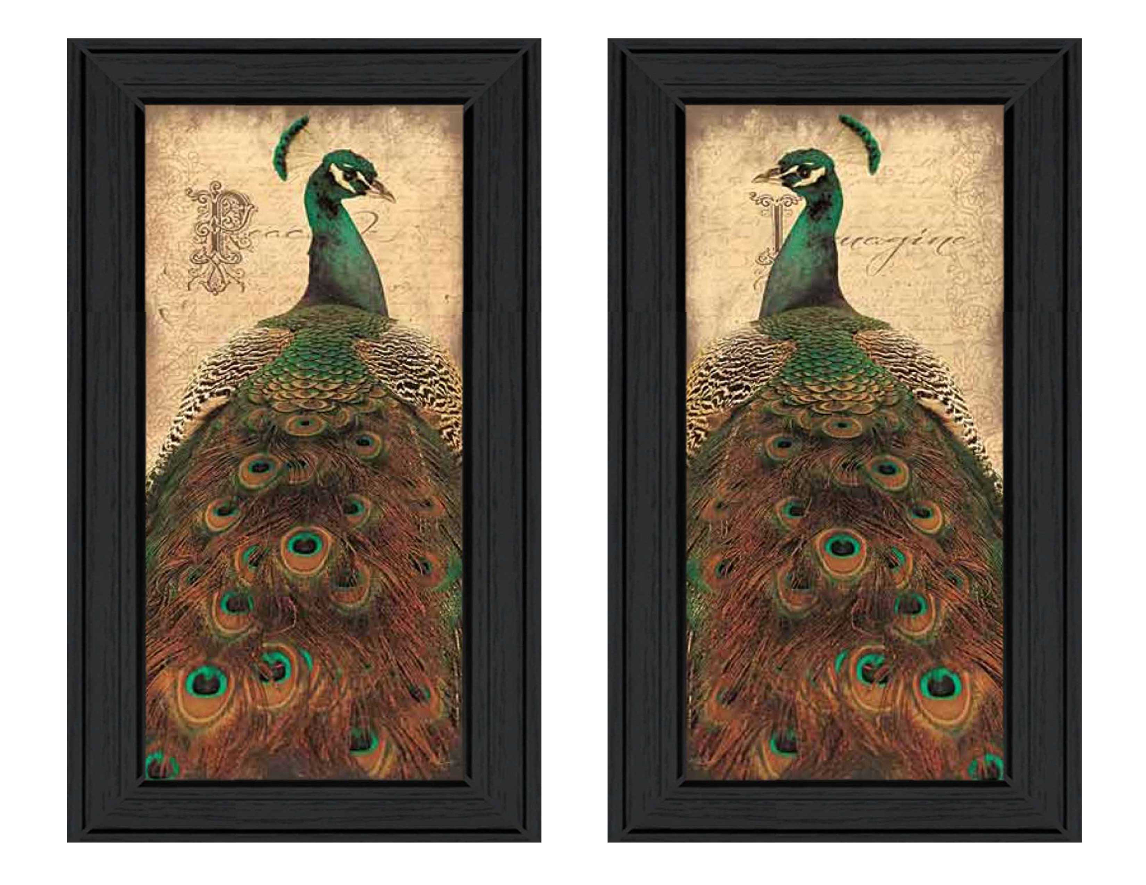 "Peacock Collection" 2-Piece Vignette By John Jones, Printed Wall Art, Ready To Hang Framed Poster, Black Frame