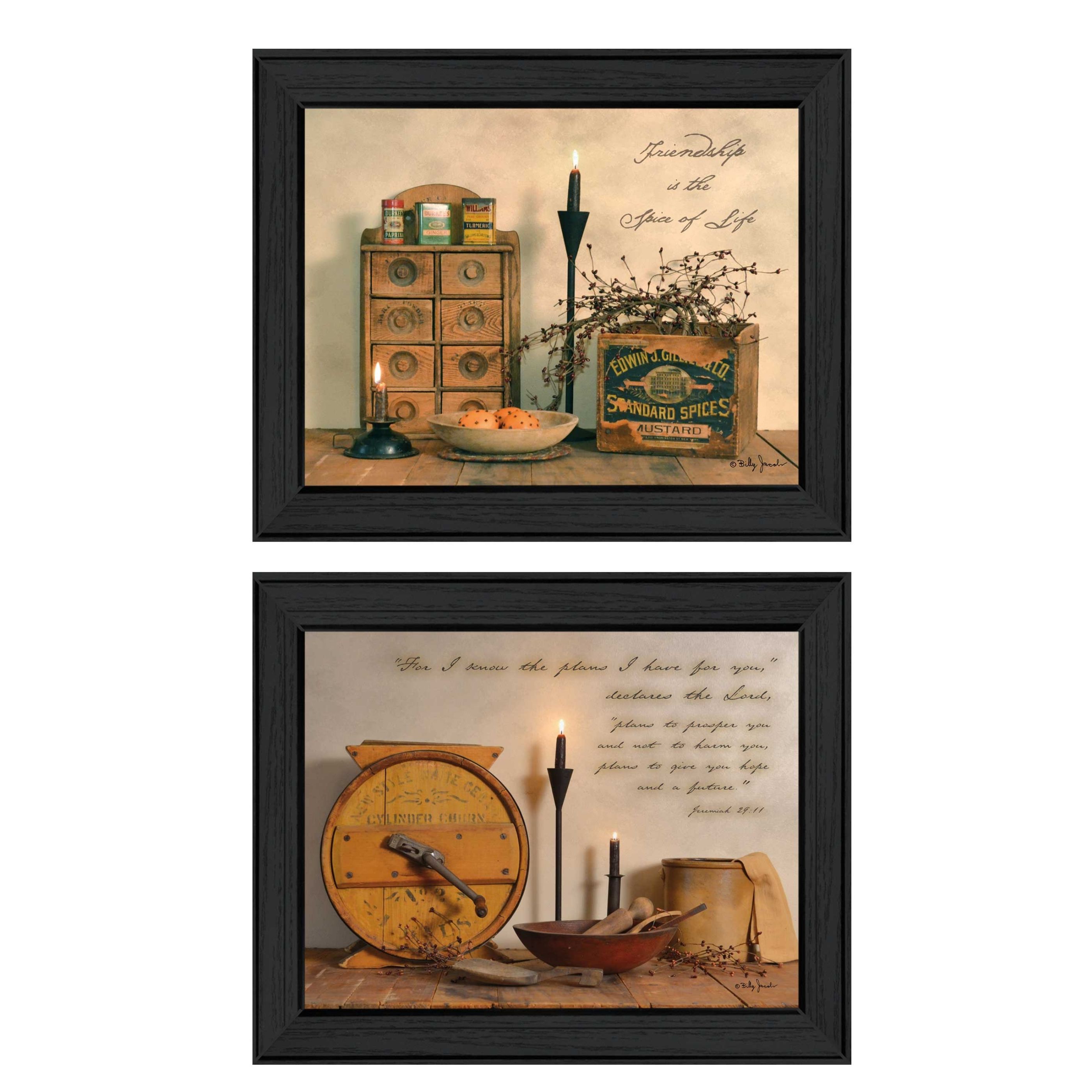 "Friendship is the Spice of Life Collection" 2-Piece Vignette By Billy Jacobs, Printed Wall Art, Ready To Hang Framed Poster, Black Frame