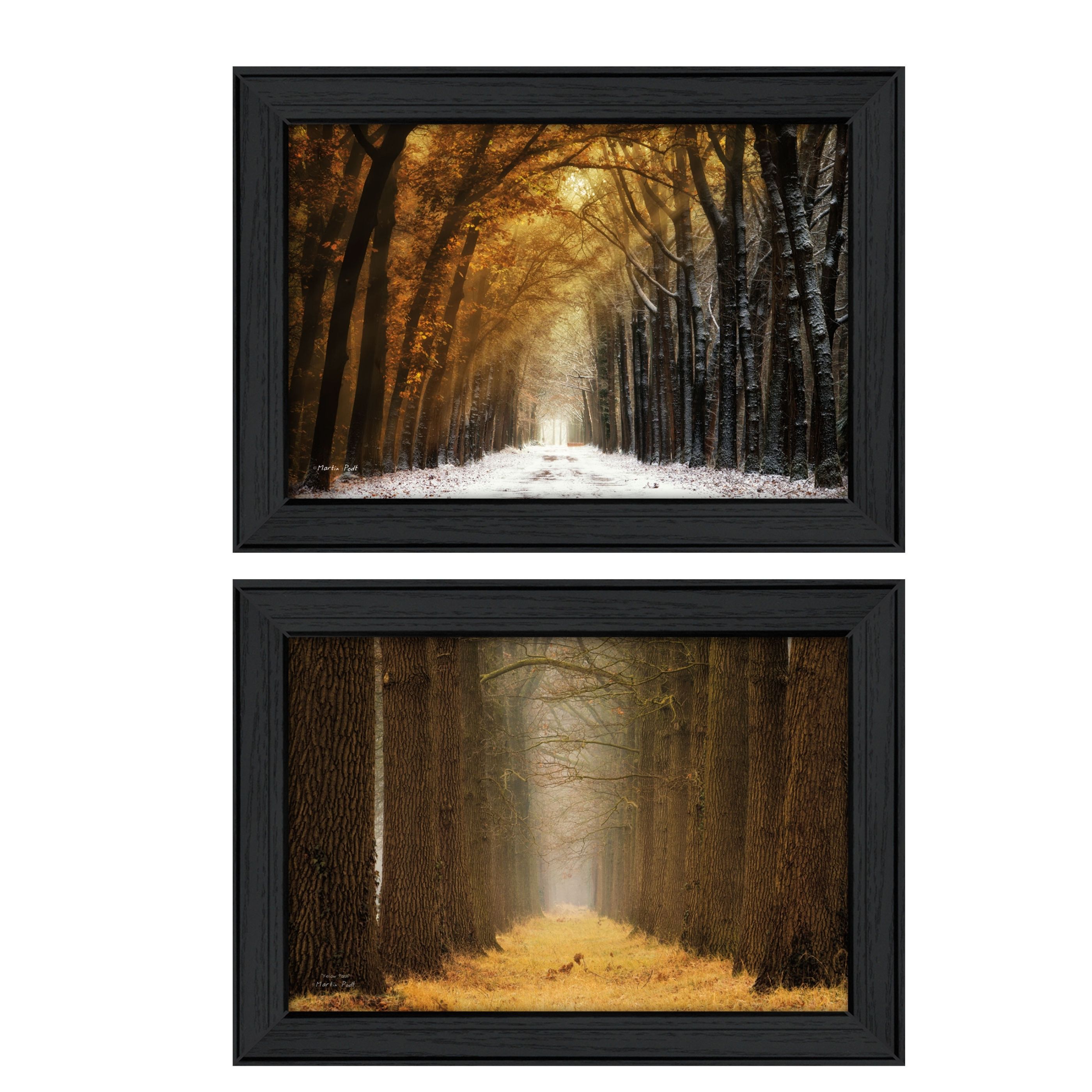 "Golden Forest Path Collection" 2-Piece Vignette By Martin Podt, Printed Wall Art, Ready To Hang Framed Poster, Black Frame