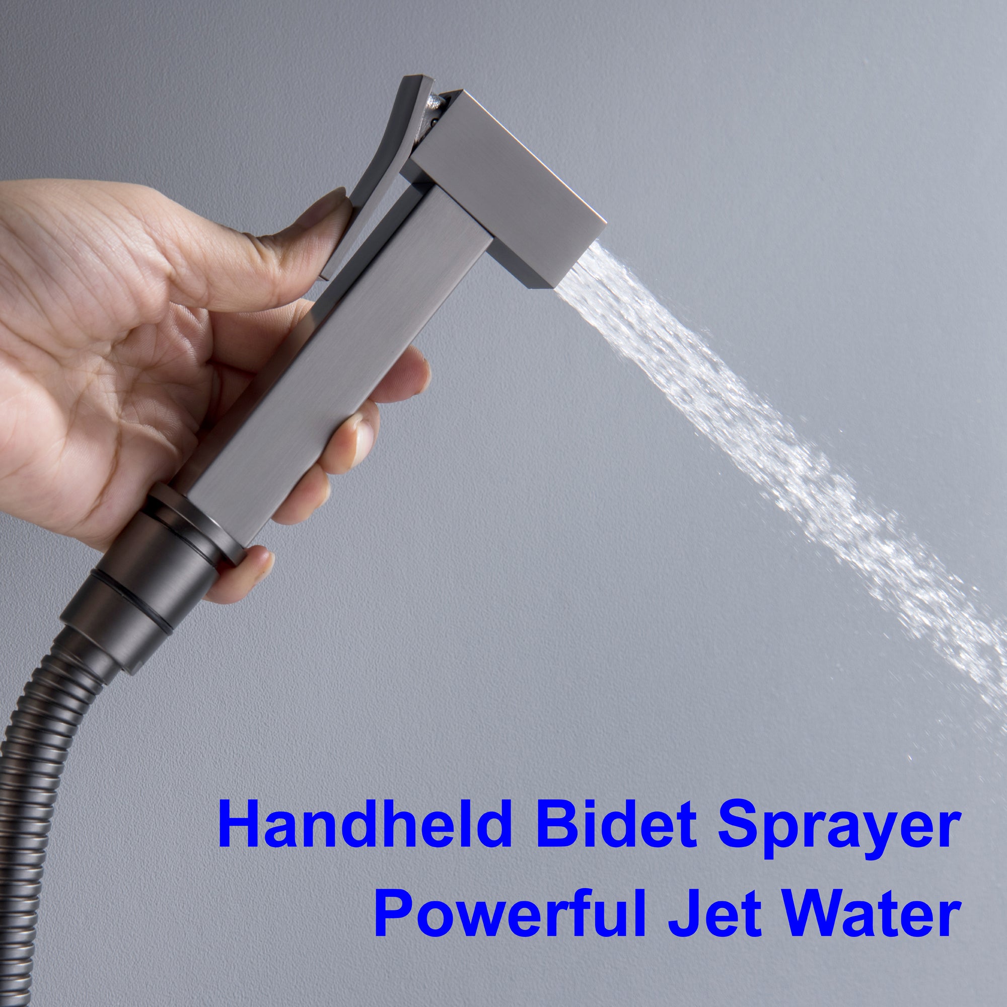 Boyel Living Wall Mount Single-Handle Bidet Faucet with Handle and Mixer Body-Boyel Living