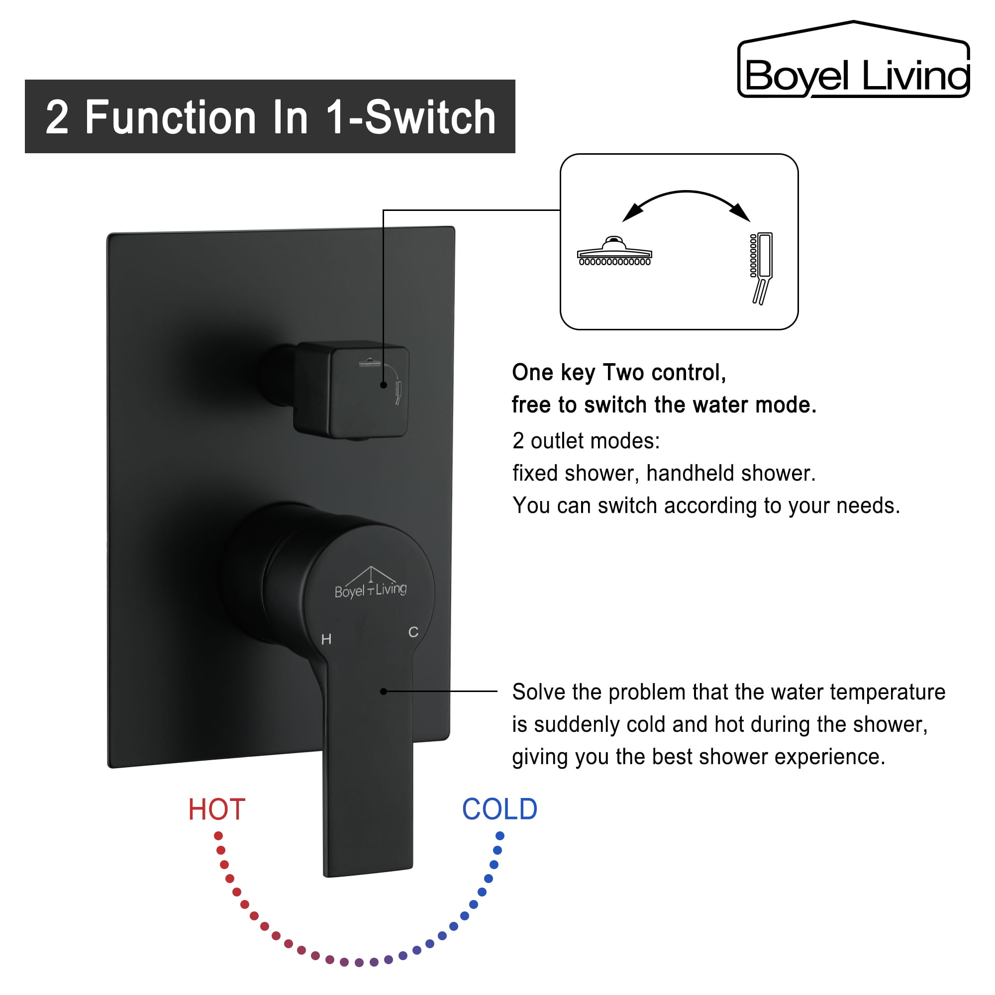 Shower Head System Combo Set with 2-in-1 Functional Switch-Boyel Living