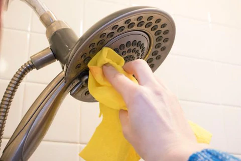 How to Clean a Showerhead-Boyel Living
