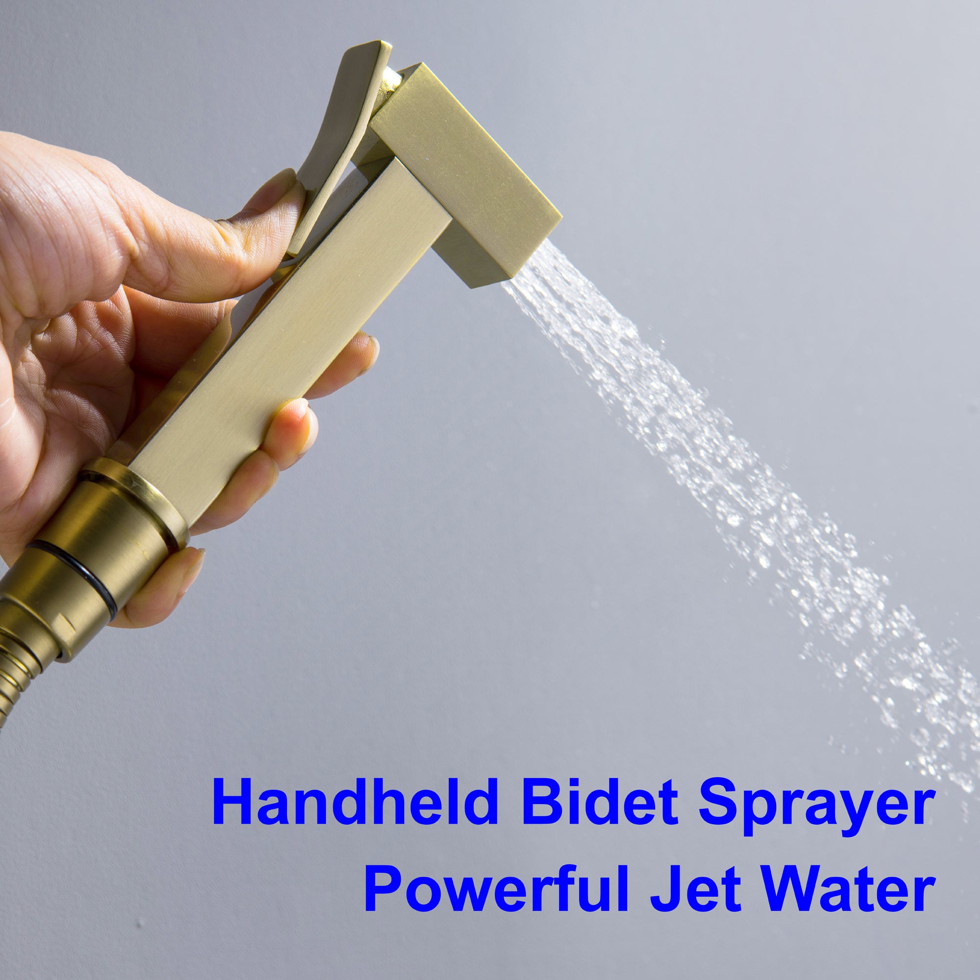 Boyel Living Wall Mount Single-Handle Bidet Faucet with Handle and Mixer Body-Boyel Living