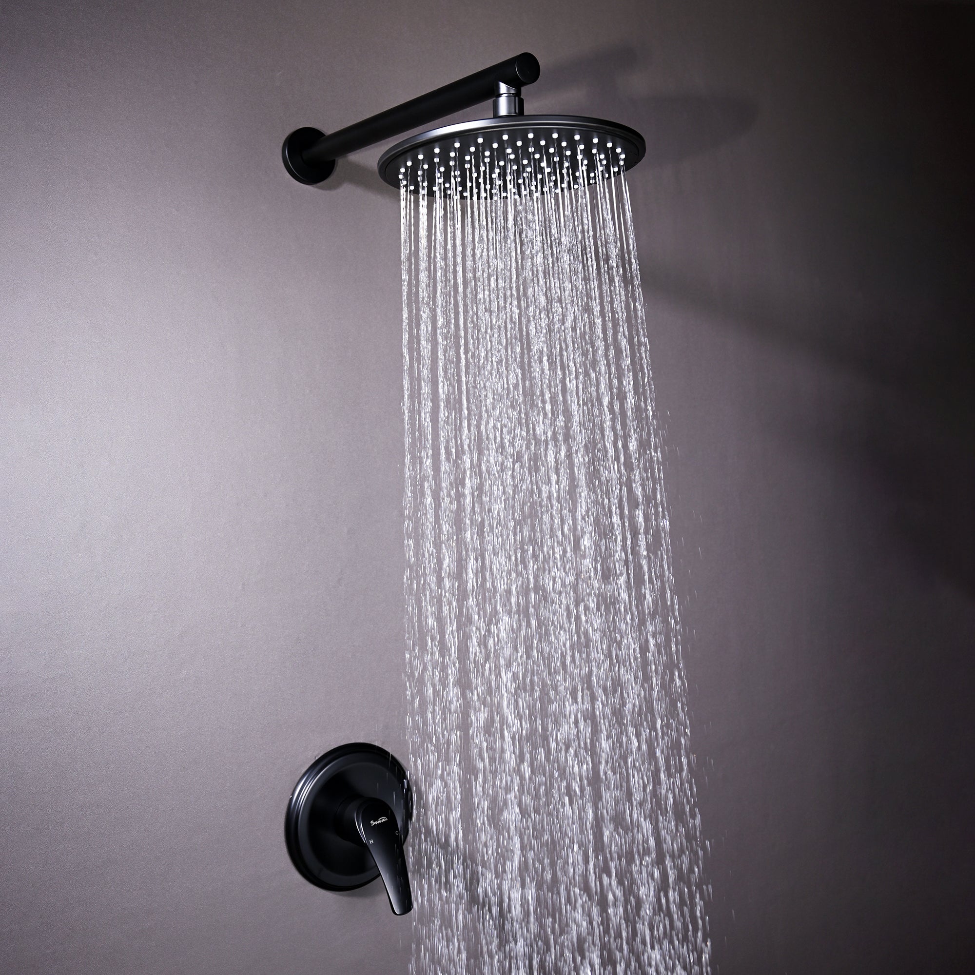 Boyel Living 1-Spray Patterns with 3.4 GPM 9 in. Wall Mount Rain Fixed Shower Head with Single Lever Handle and Valve-Boyel Living