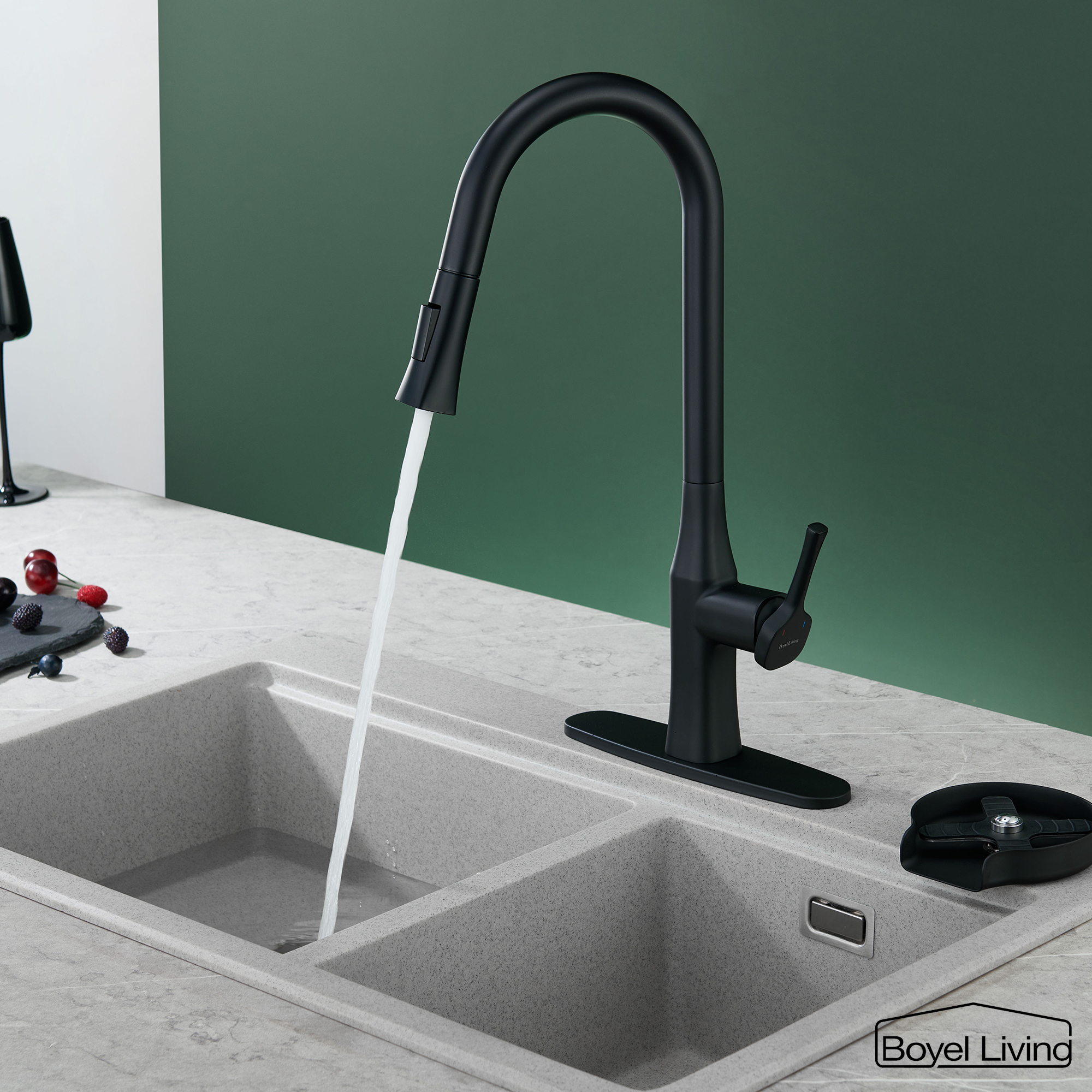 Boyel Living Single Handle Pull Down Sprayer Kitchen Faucet