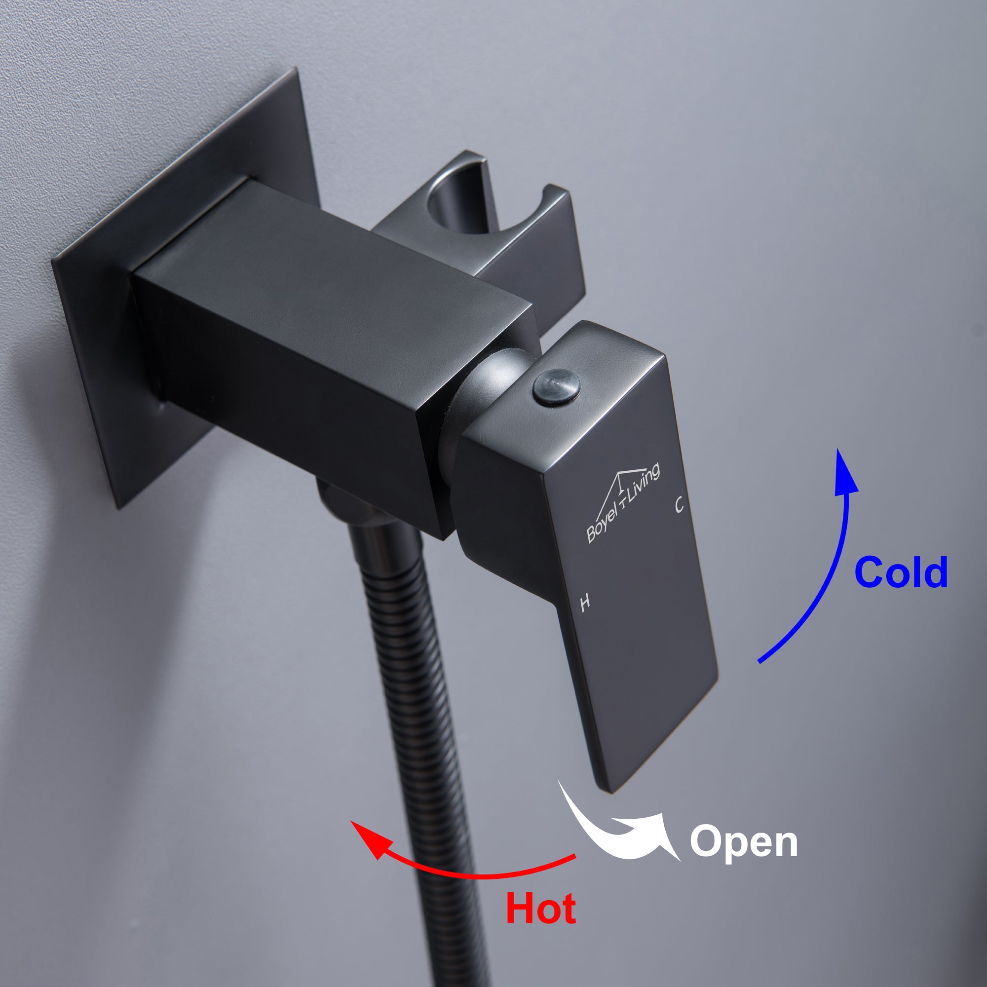 Boyel Living Wall Mount Single-Handle Bidet Faucet with Handle and Mixer Body-Boyel Living