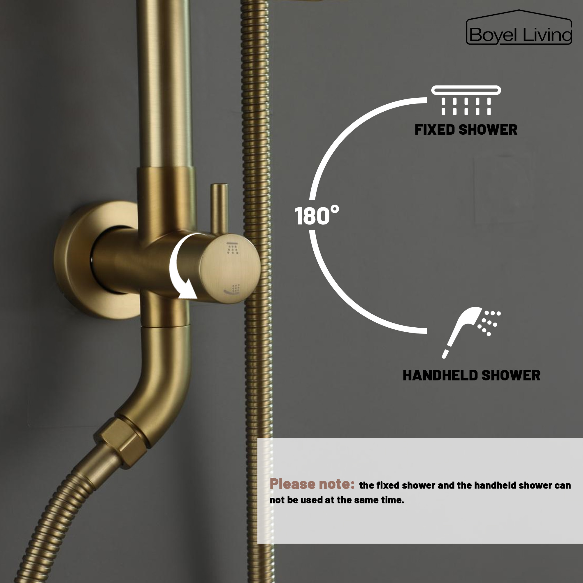 Boyel Living 2.5 GPM 10 in. Wall Mount Dual Shower Heads with 3-Spray Patterns Handheld Shower and Soap Dish-Mixing Valve Not Included