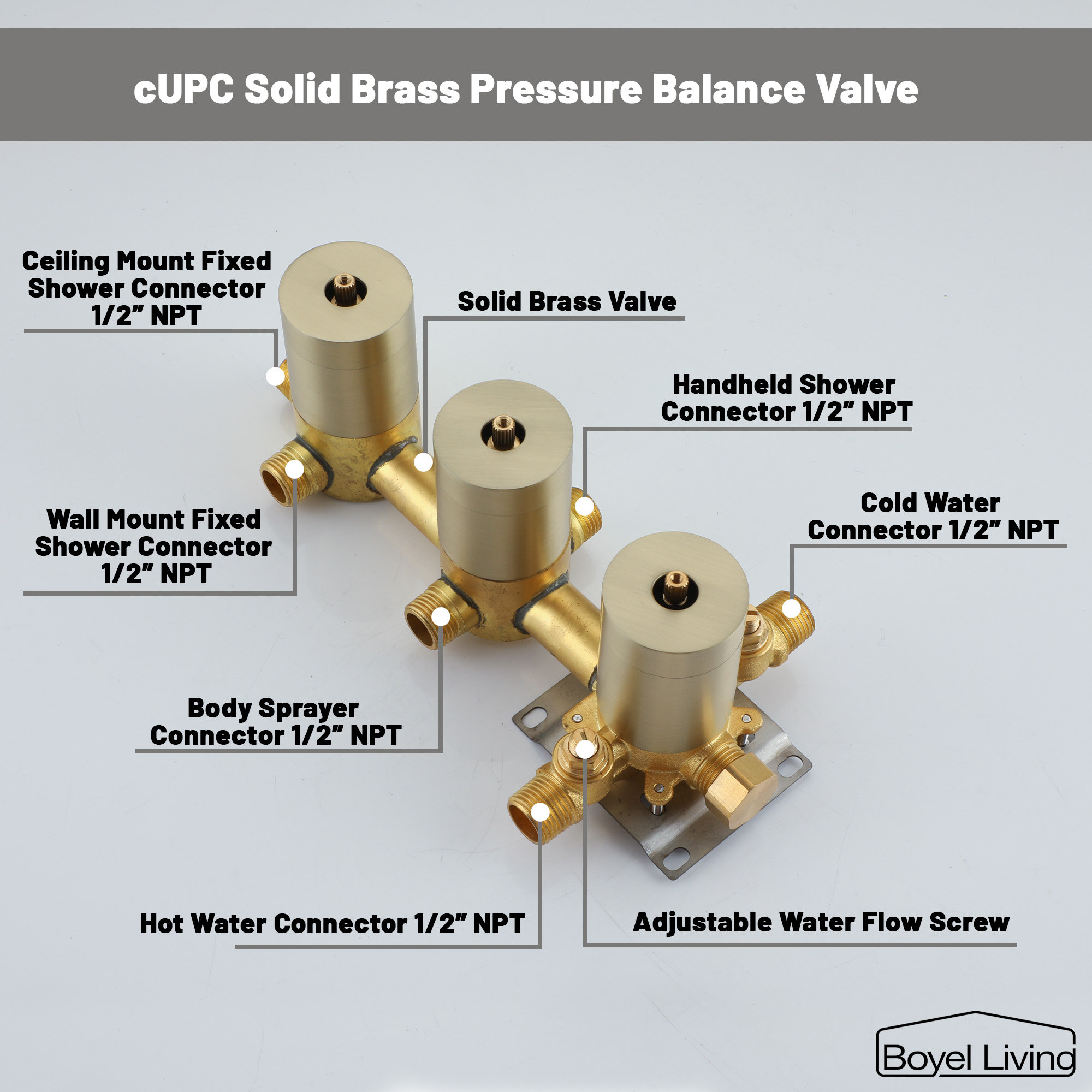 Boyel Living 1.8 GPM Wall Mount and Ceiling Mount Shower System with 4 Body Sprays in Brushed Gold