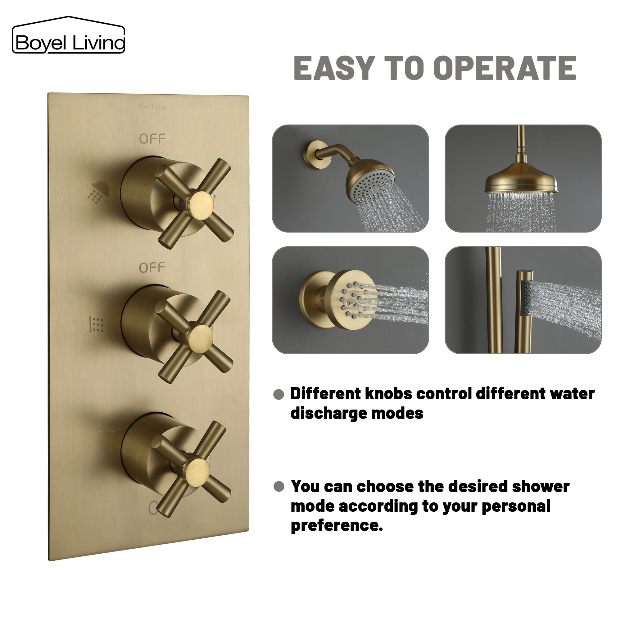 Boyel Living Rain Shower Head System with Different Knobs to Control Different Water Modes