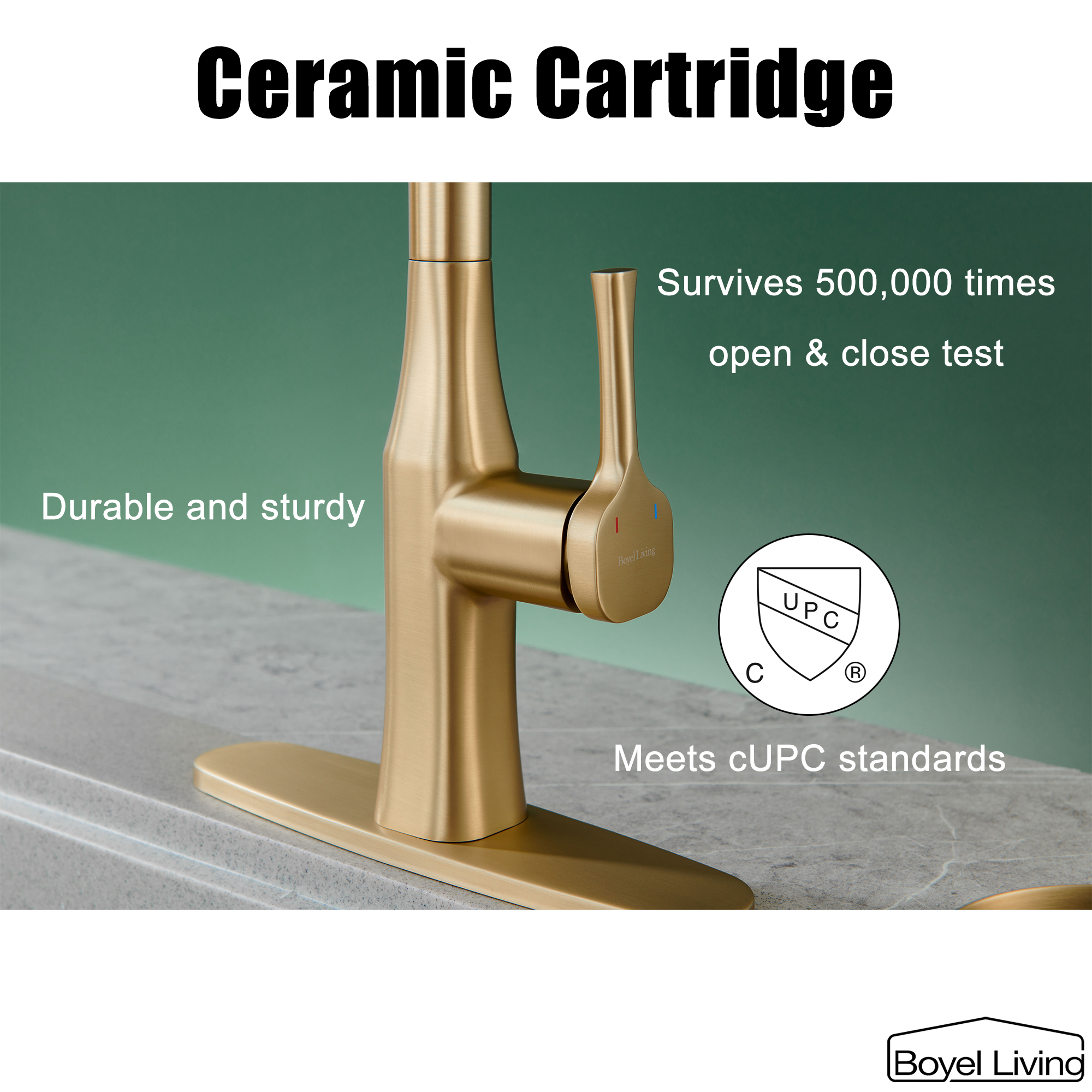 Boyel Living Single Handle Pull Down Sprayer Kitchen Faucet