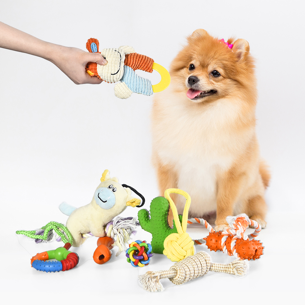 puppy toy pack