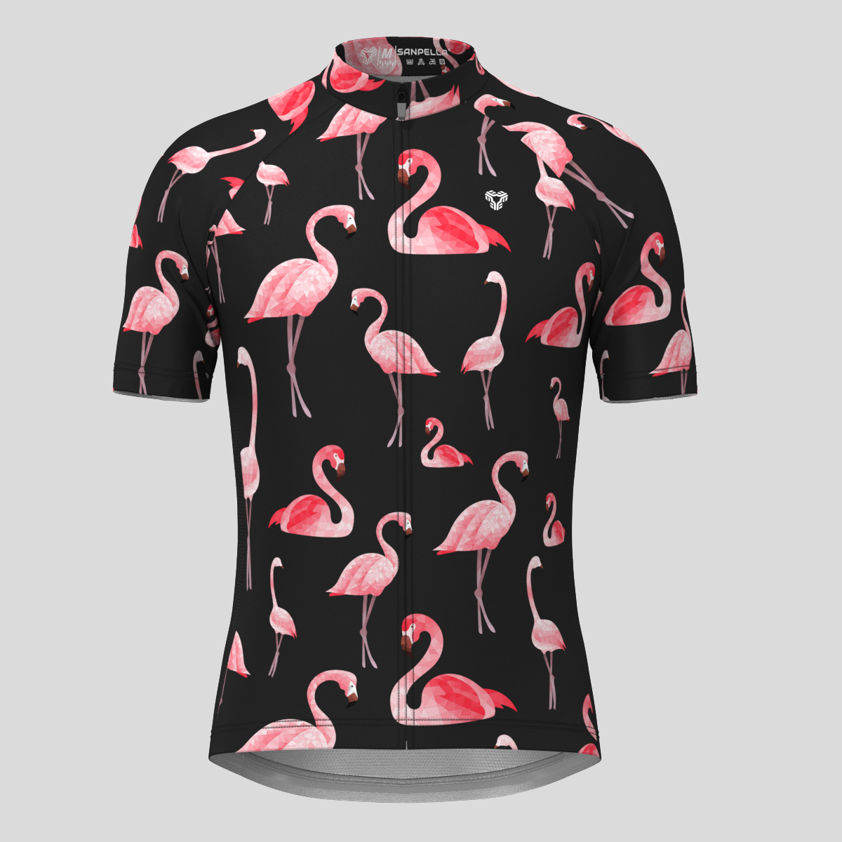 Classic Flamingo Men's Cycling Jersey