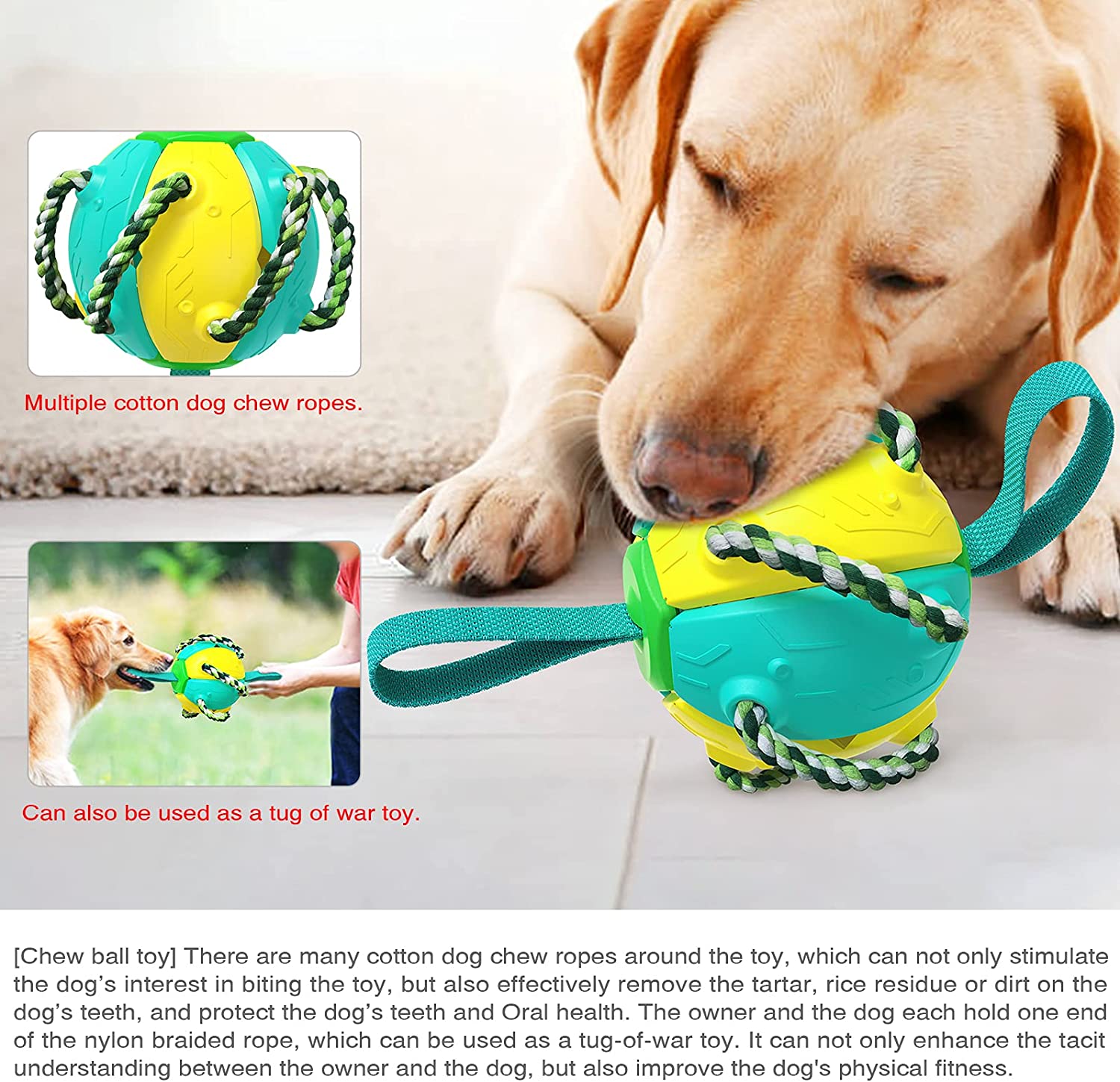 High Flight Aerodynamic Frisbee - (Puppy Interactive Toy）-Topselling