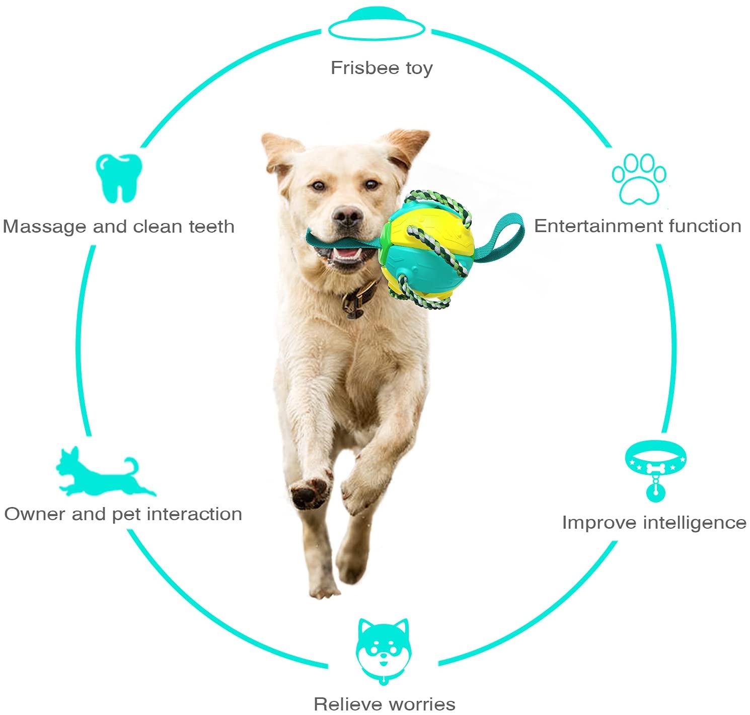 High Flight Aerodynamic Frisbee - (Puppy Interactive Toy）-Topselling