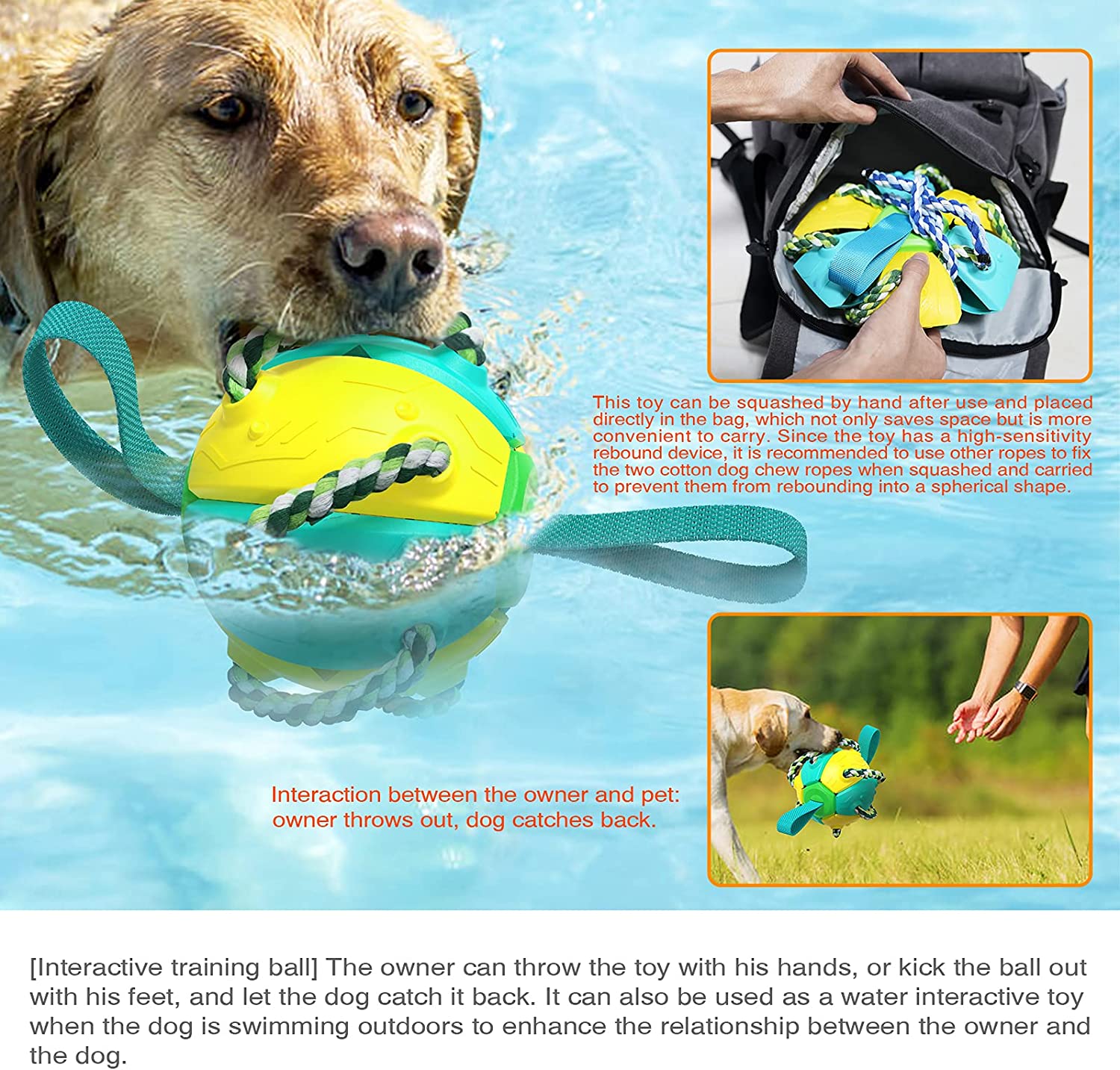 High Flight Aerodynamic Frisbee - (Puppy Interactive Toy）-Topselling