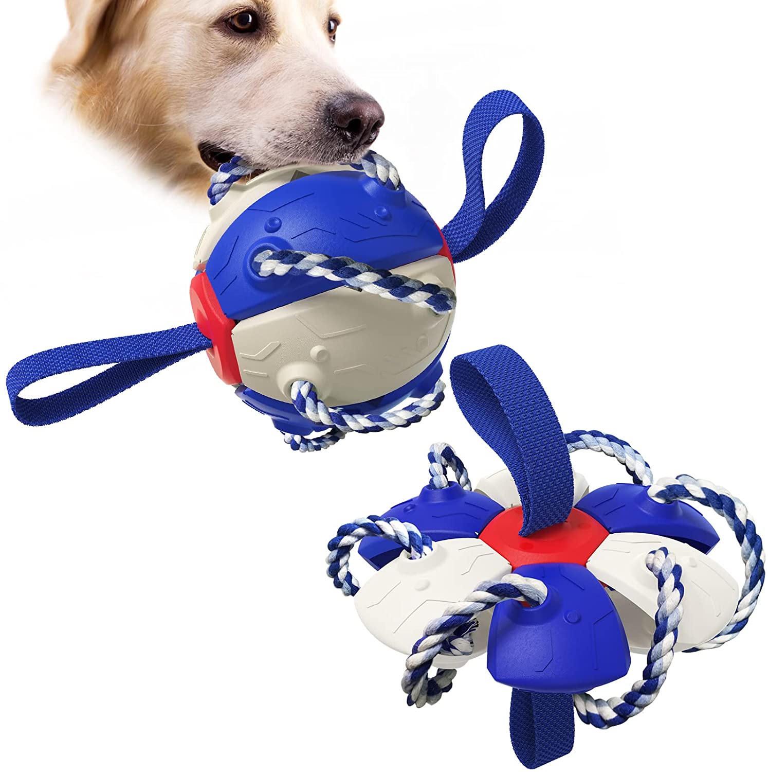High Flight Aerodynamic Frisbee - (Puppy Interactive Toy）-Topselling