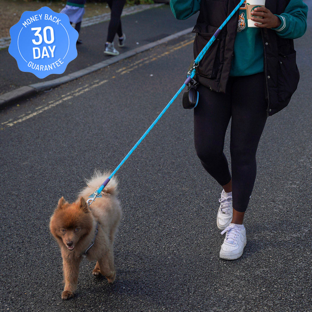 Hands-Free Leash-Topselling