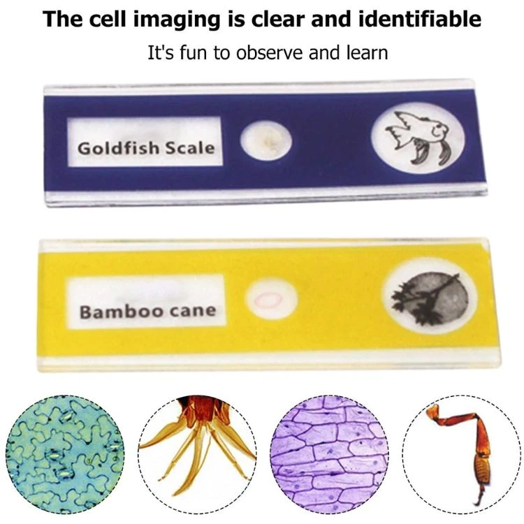 Kid's Portable Pocket Microscope with Adjustable 60-120x zoom-Topselling