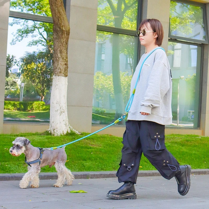 Hands-Free Leash-Topselling