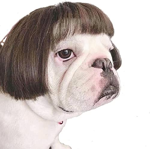 Funny dog and cat cosplay wig-Topselling