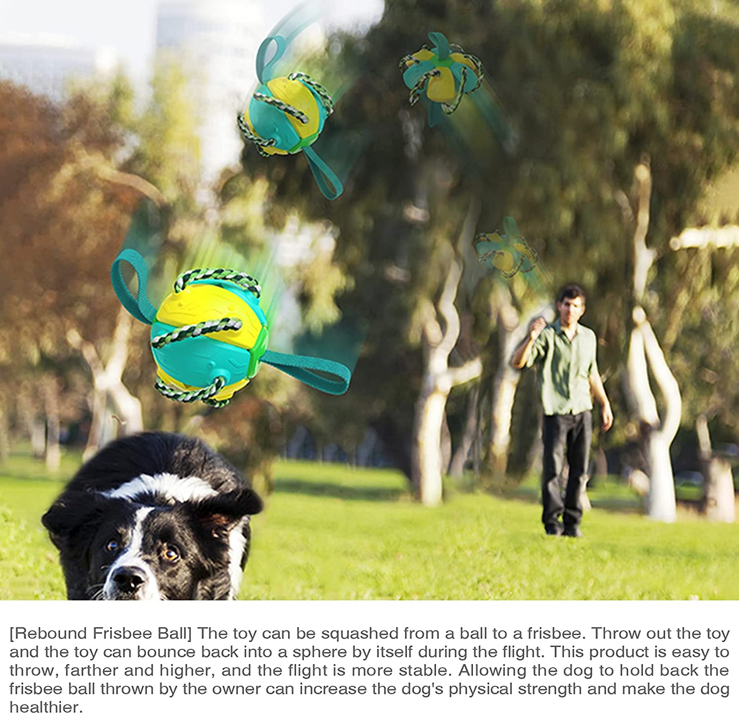 High Flight Aerodynamic Frisbee - (Puppy Interactive Toy）-Topselling