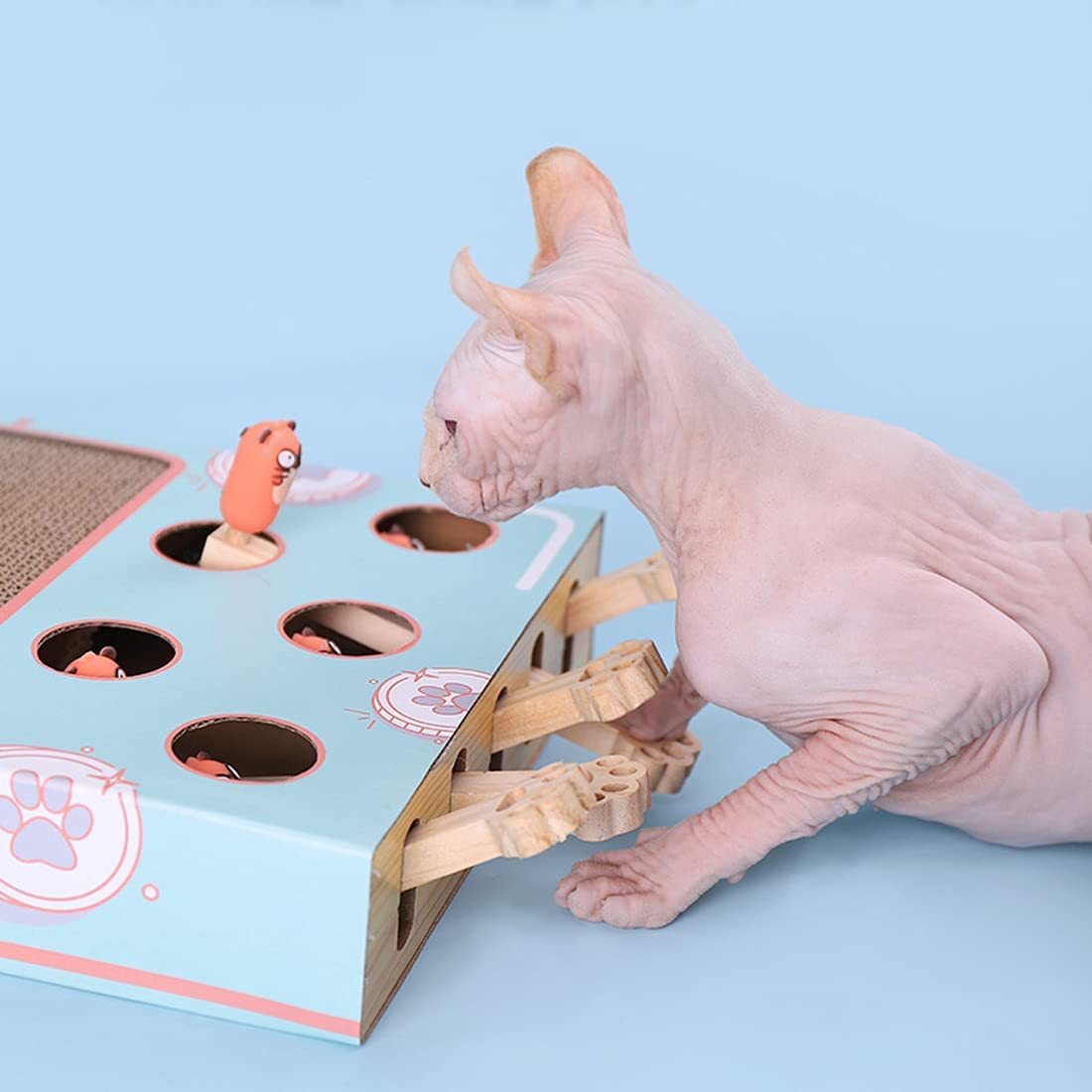 Multifunction Cat Whack A Mole Toy Boxes -Topselling
