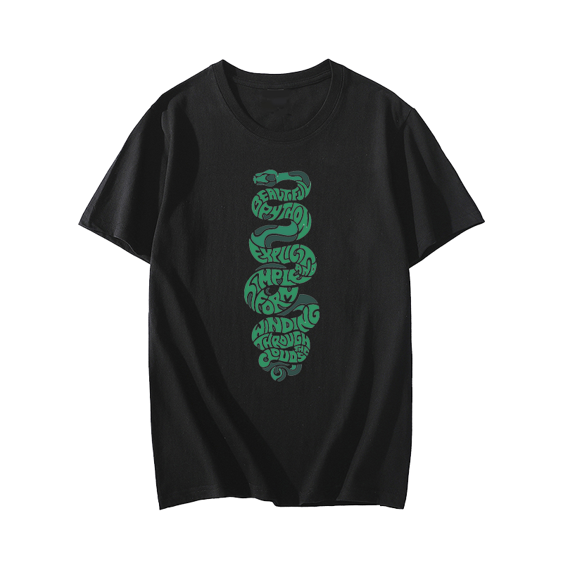 python T-Shirt