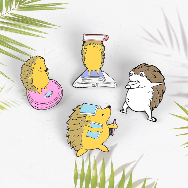Cute Hedgehog And Books Pin Set