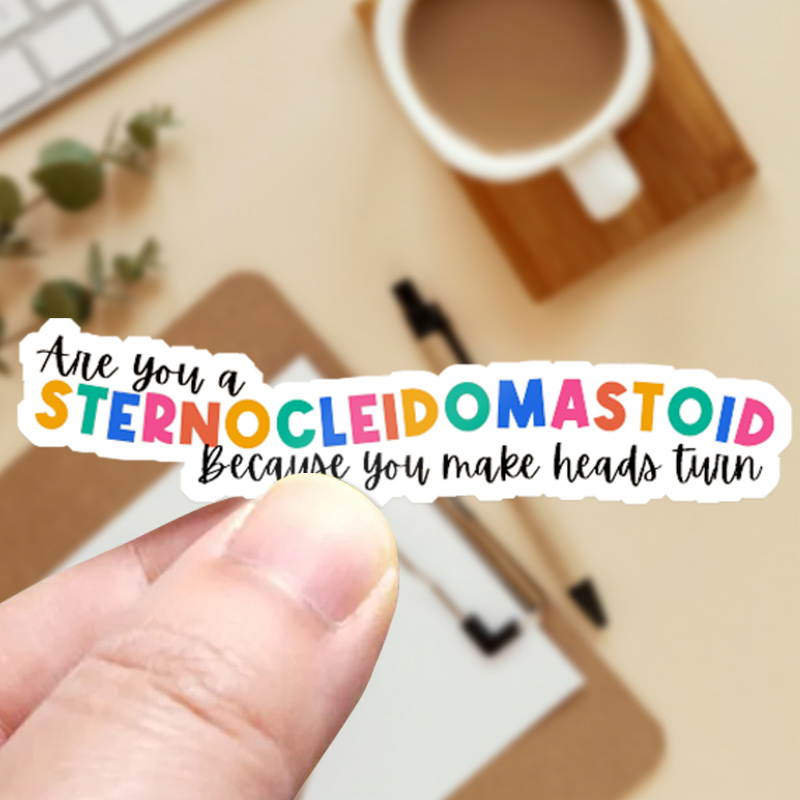 Speech Therapist SLP Teacher Stickers