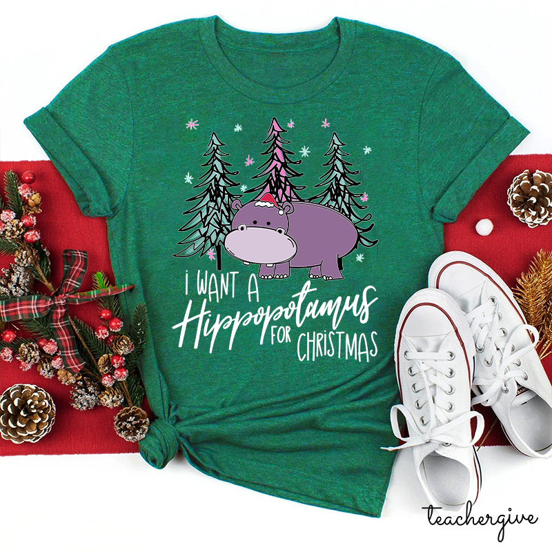 I Want A Hippopotamus For Christmas Teacher T-Shirt