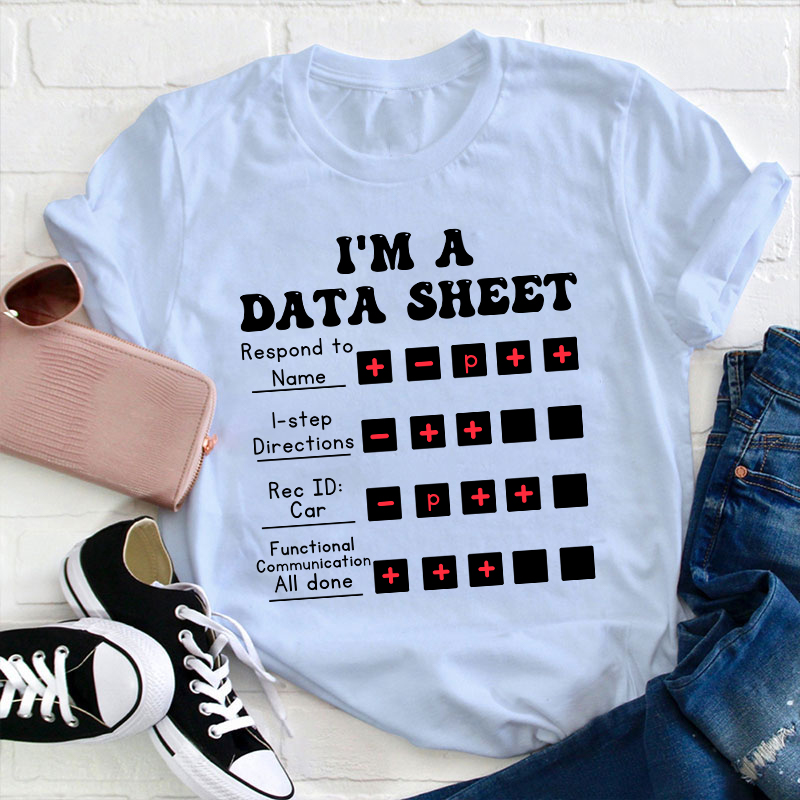 I Am A Data Sheet Teacher T-Shirt