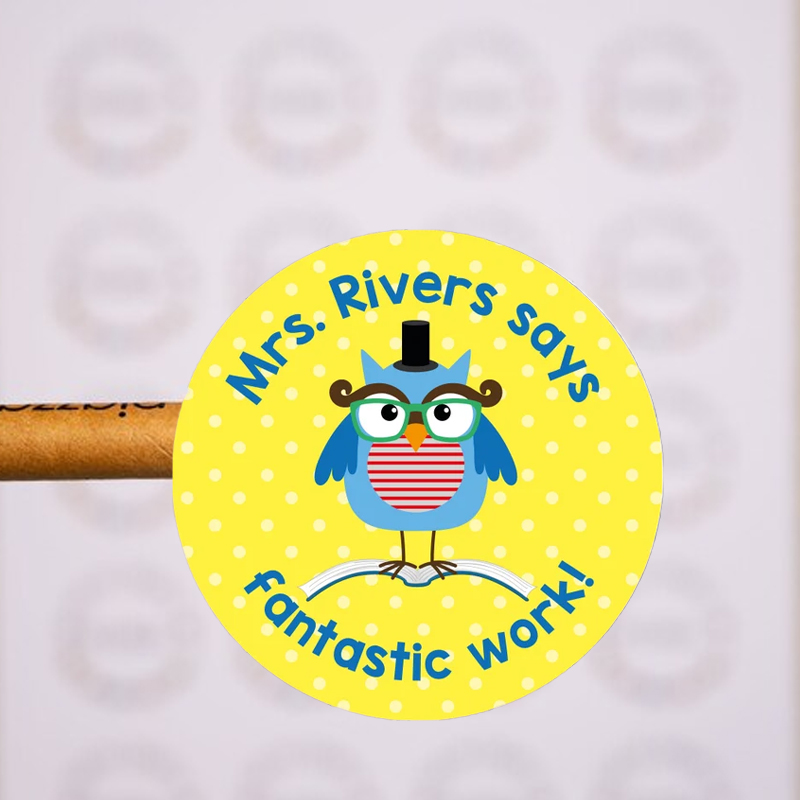 Personalized Owl  Teacher Stickers